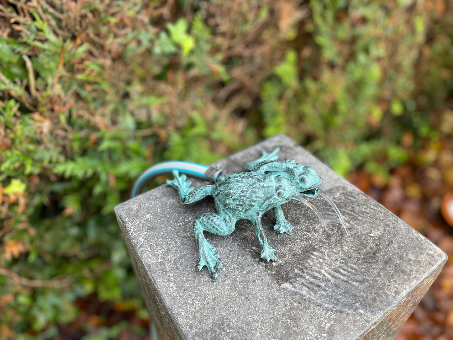 Duo Frogs – Bronze Sculpture. 13x11x17cm - 0.8Kg