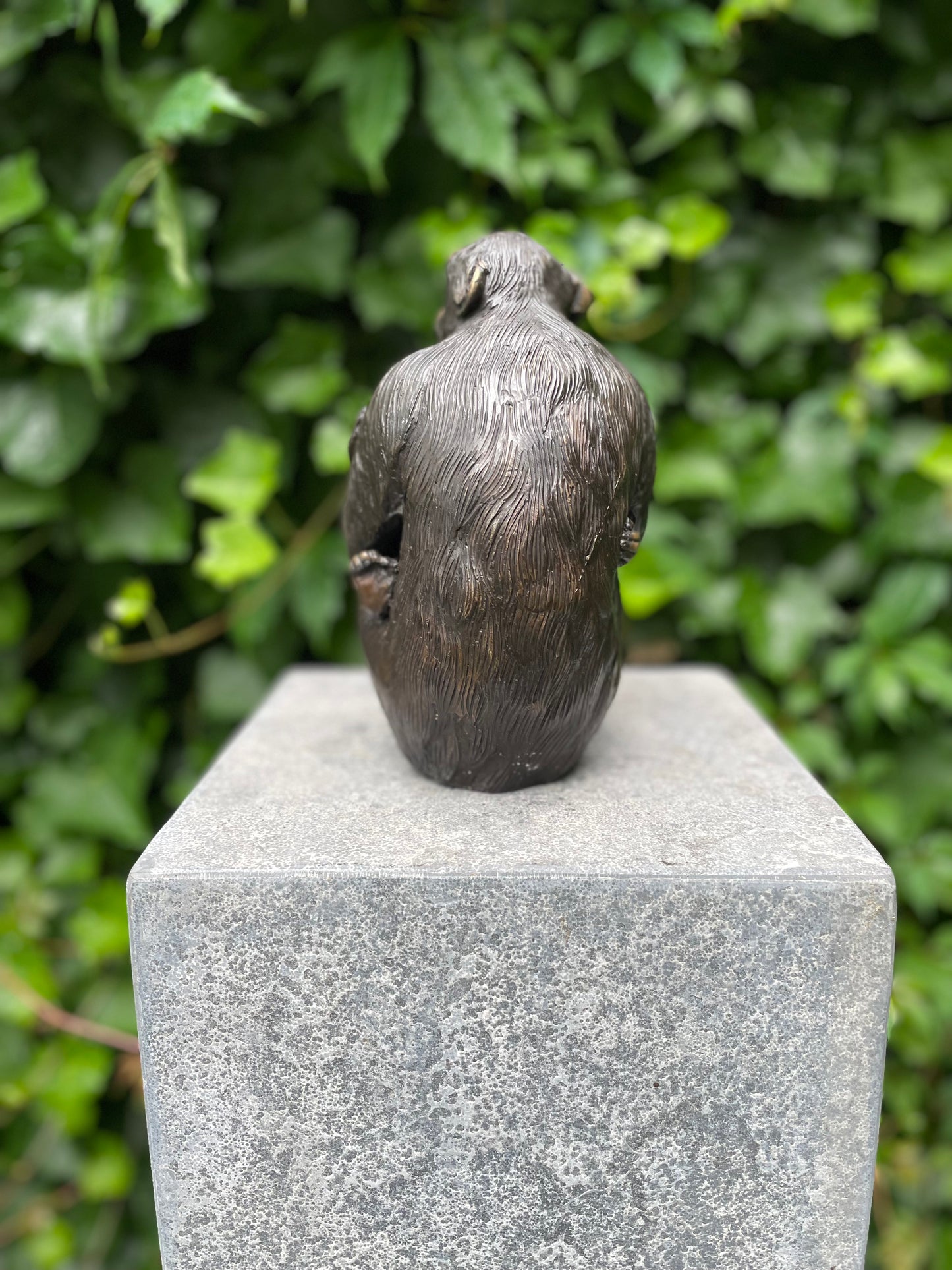 Mother Chimp – Bronze Sculpture. 17x8x9cm - 2.2Kg