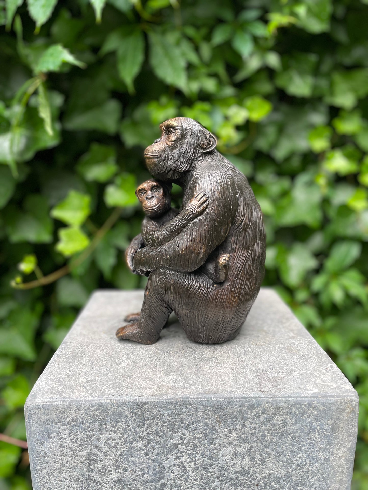 Mother Chimp – Bronze Sculpture. 17x8x9cm - 2.2Kg