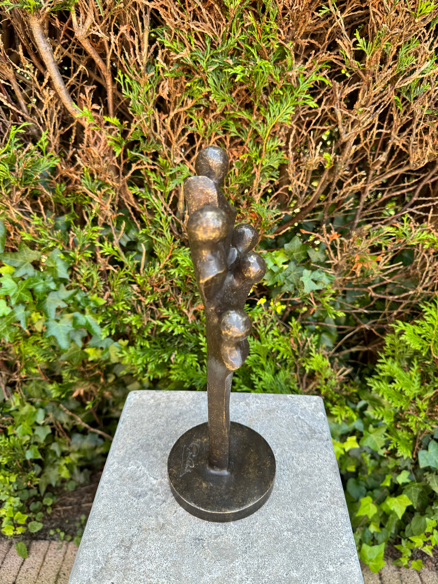 Family Roots – Bronze Sculpture. 12x11x33cm - 2Kg