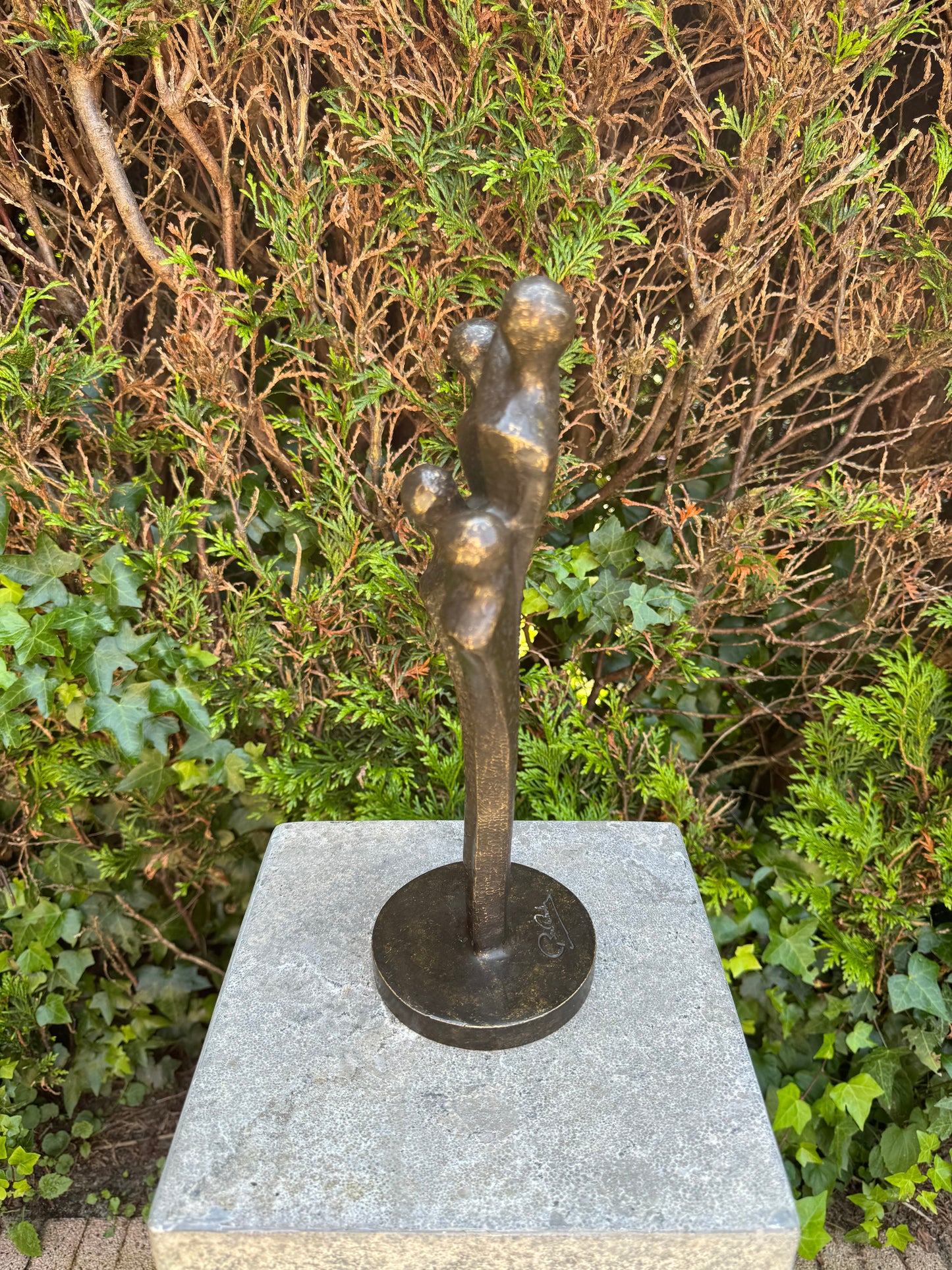 Family Roots – Bronze Sculpture. 12x11x33cm - 2Kg