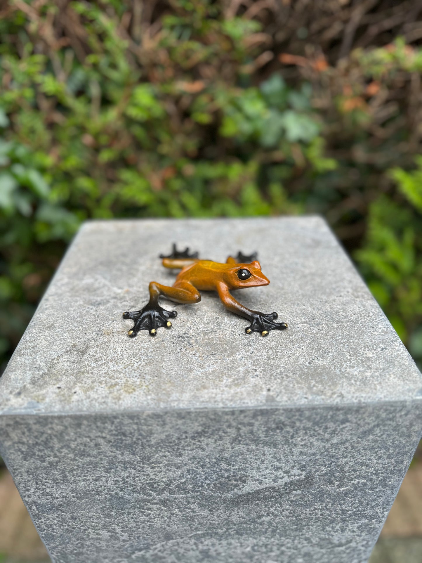 Agile Frog – Bronze Sculpture. 11x13x3cm - 0.4Kg