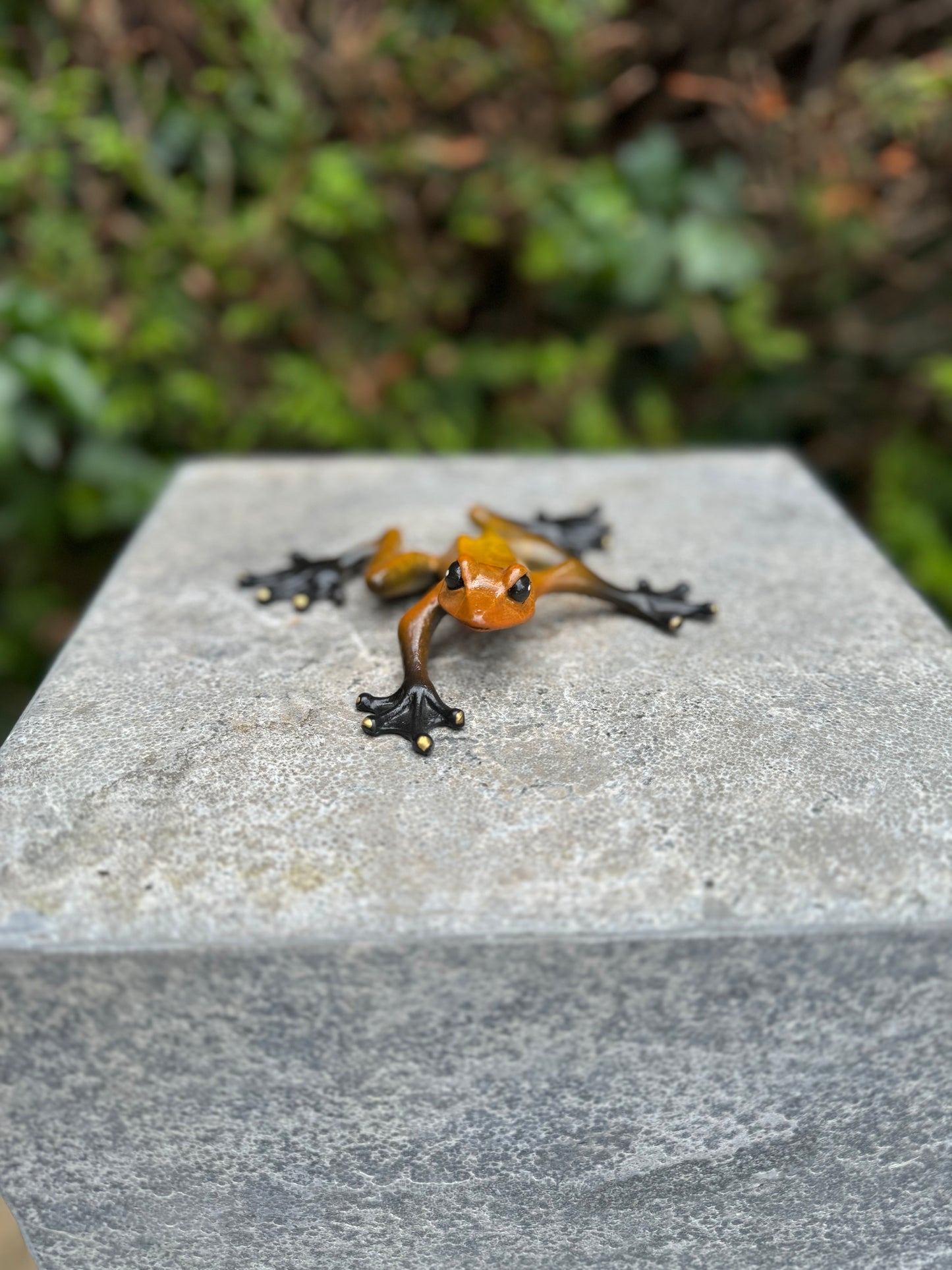 Agile Frog – Bronze Sculpture. 11x13x3cm - 0.4Kg