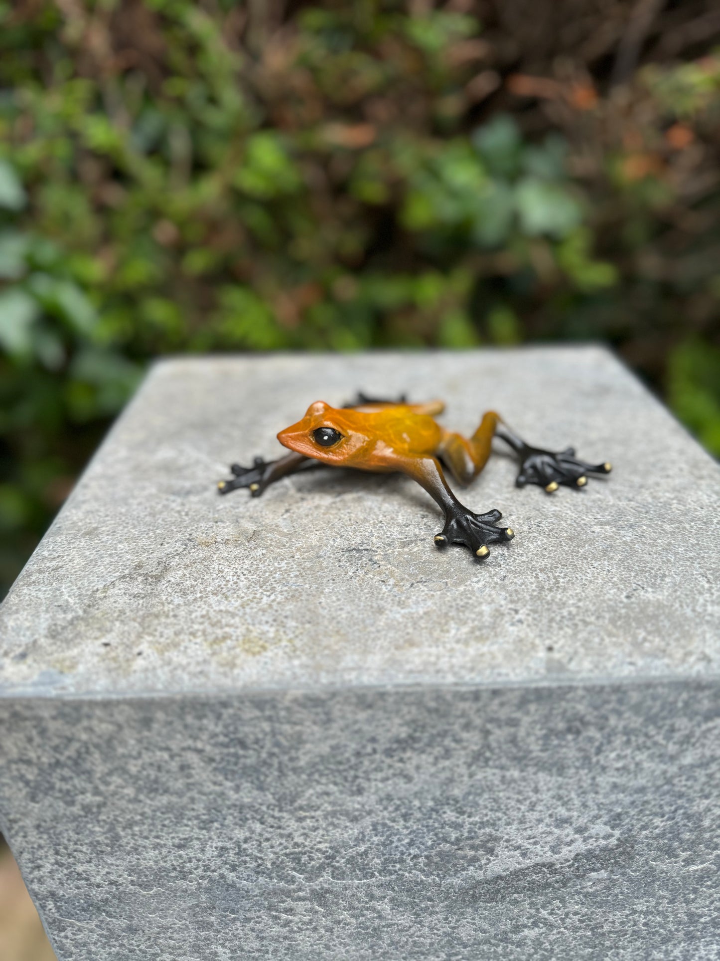 Agile Frog – Bronze Sculpture. 11x13x3cm - 0.4Kg