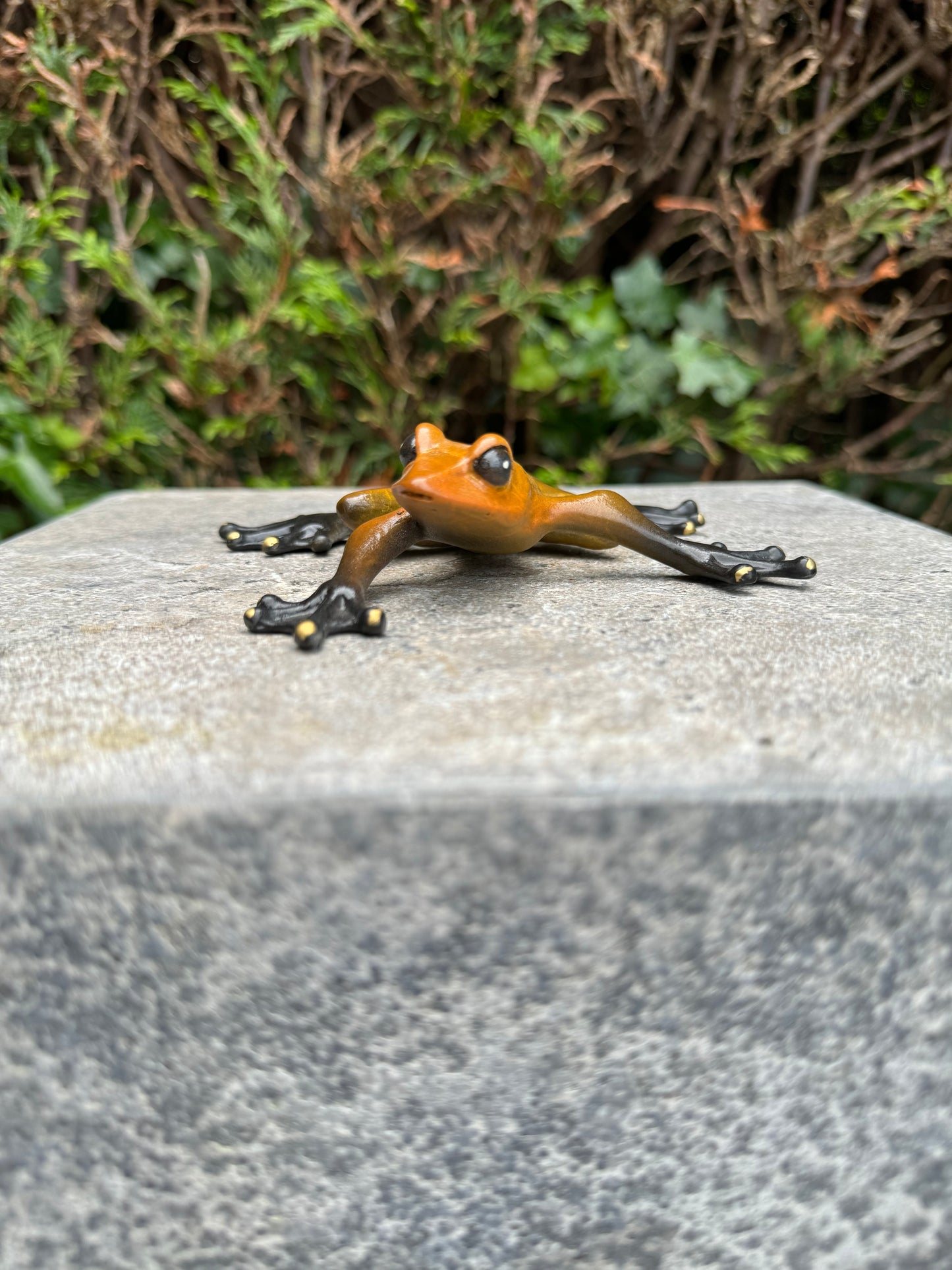 Agile Frog – Bronze Sculpture. 11x13x3cm - 0.4Kg