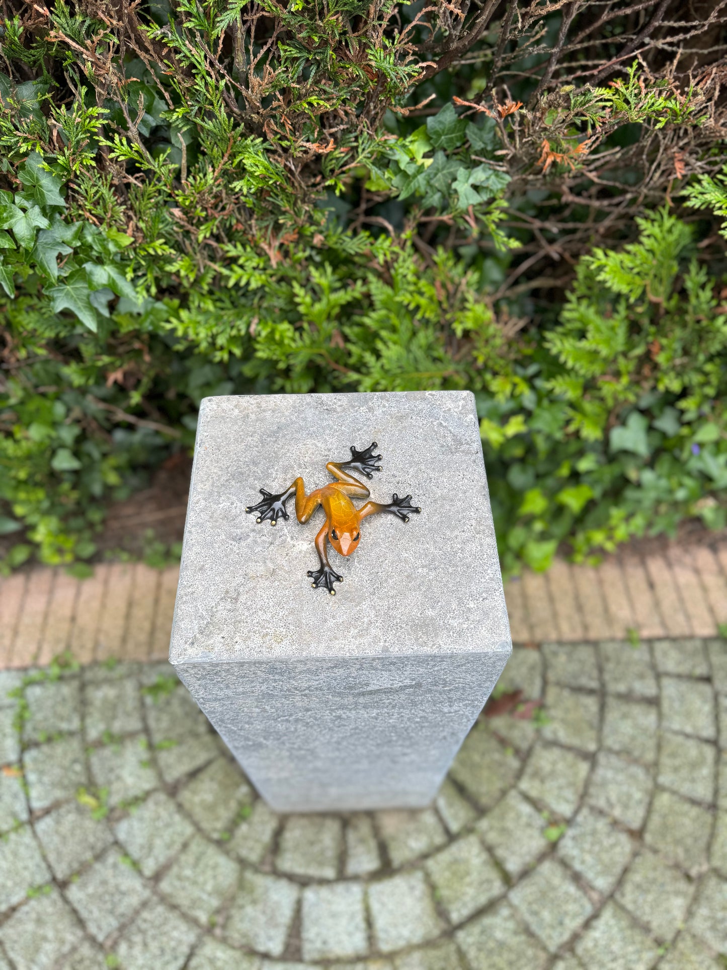 Agile Frog – Bronze Sculpture. 11x13x3cm - 0.4Kg