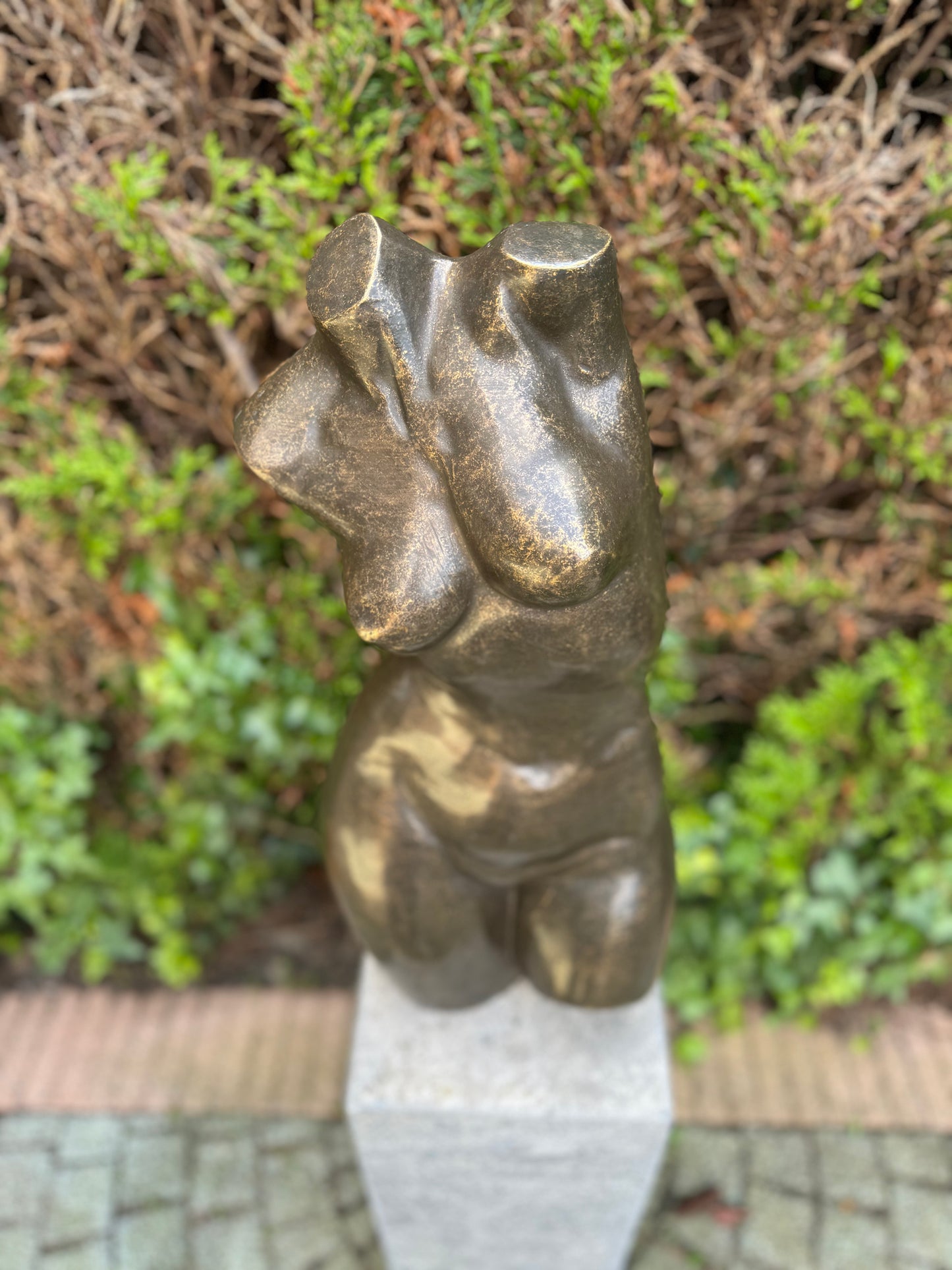 Curved Torso – Bronze Sculpture. 26x20x62cm - 12.5Kg