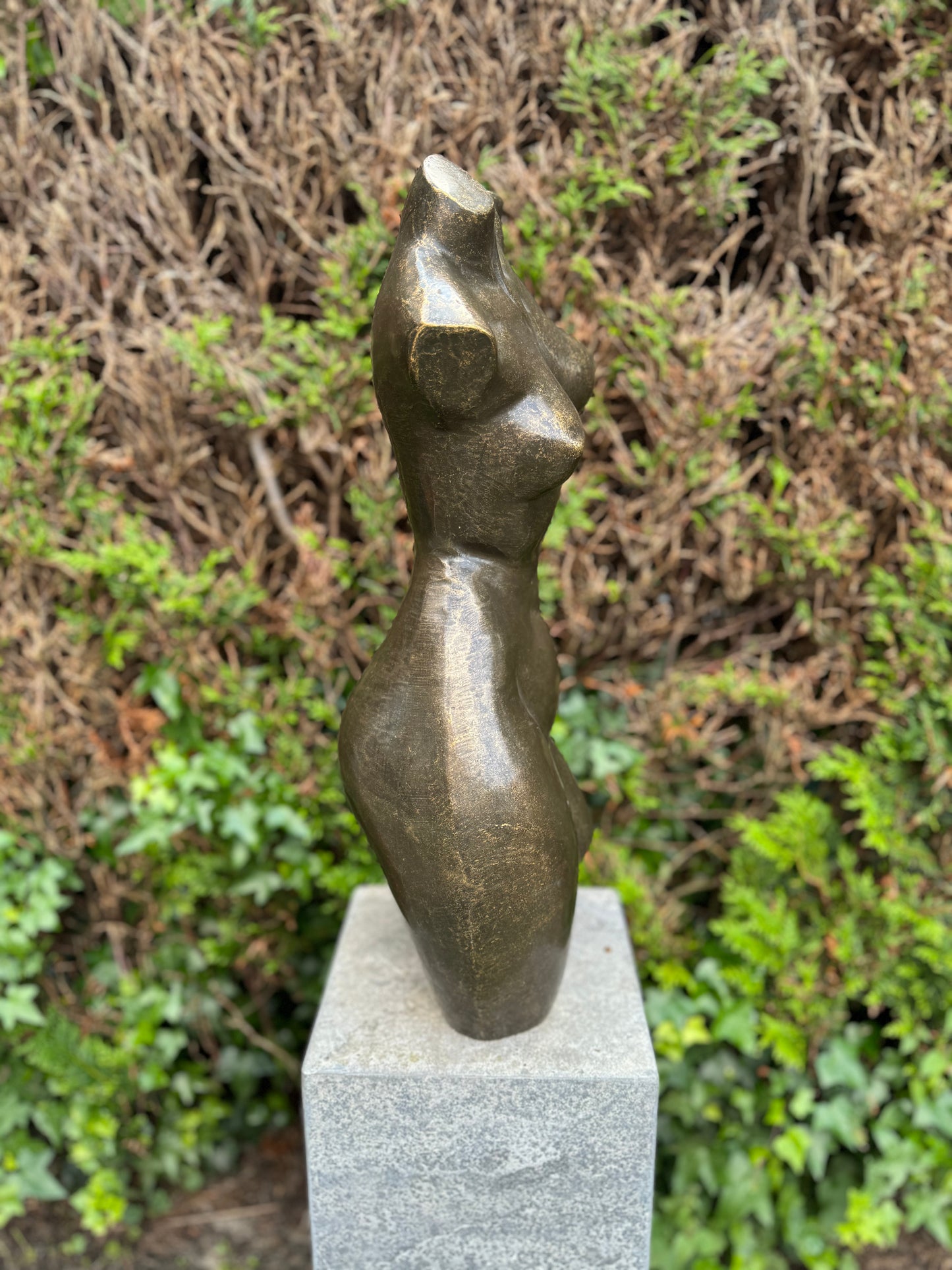 Curved Torso – Bronze Sculpture. 26x20x62cm - 12.5Kg