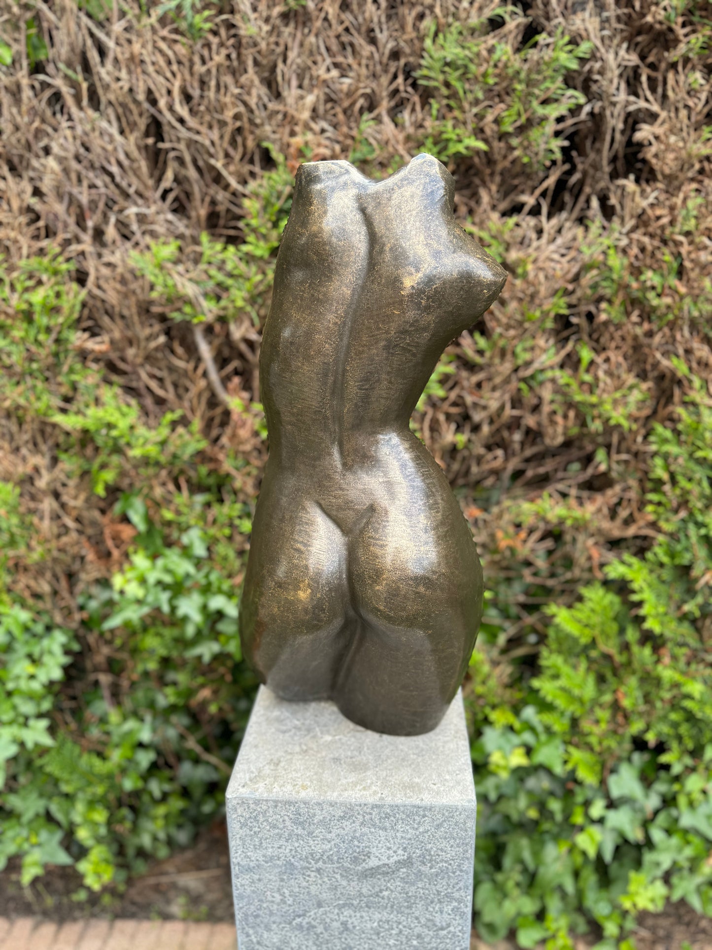 Curved Torso – Bronze Sculpture. 26x20x62cm - 12.5Kg