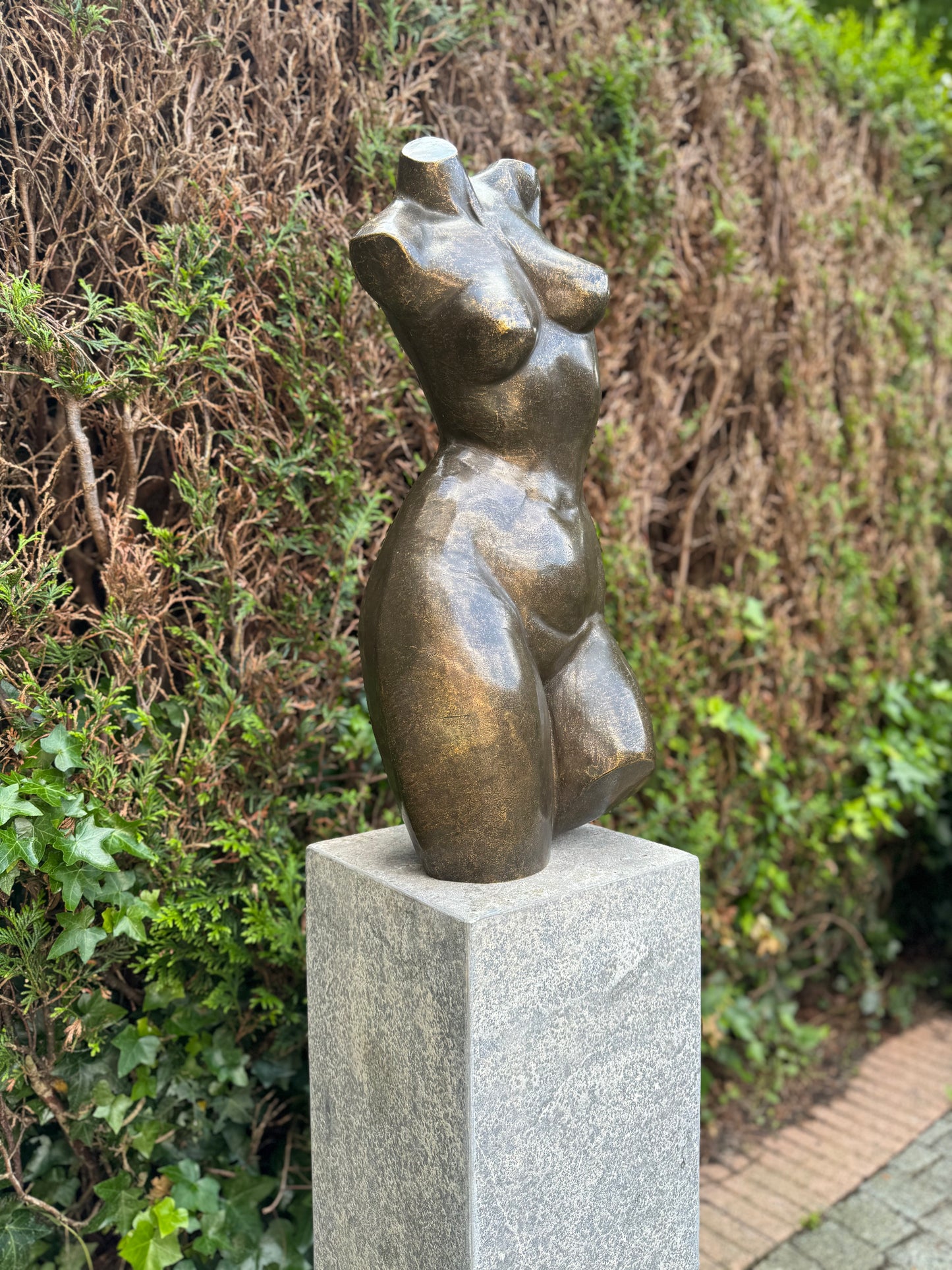 Curved Torso – Bronze Sculpture. 26x20x62cm - 12.5Kg