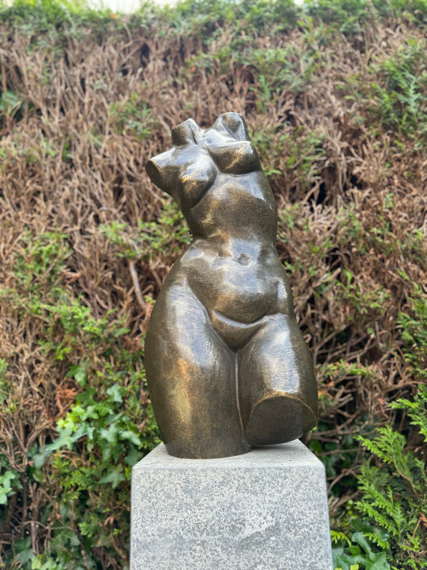 Curved Torso – Bronze Sculpture. 26x20x62cm - 12.5Kg