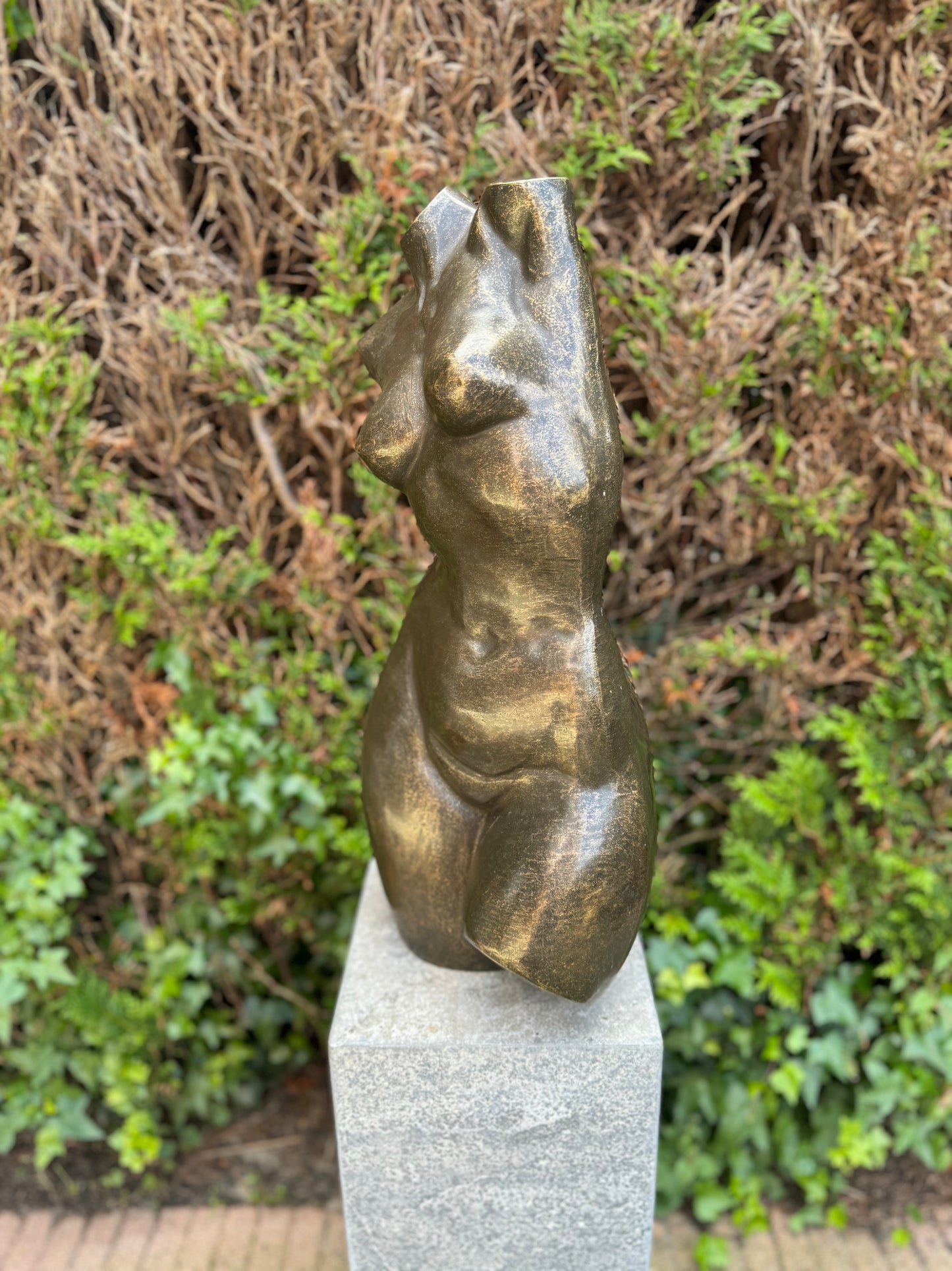 Curved Torso – Bronze Sculpture. 26x20x62cm - 12.5Kg