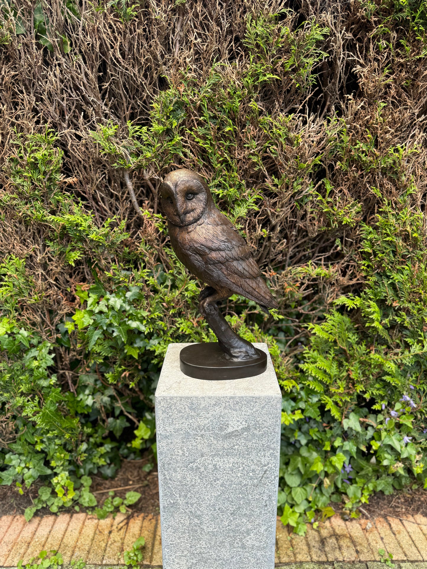 Silent Watcher – Bronze Sculpture. 16x13x43cm - 5.5Kg