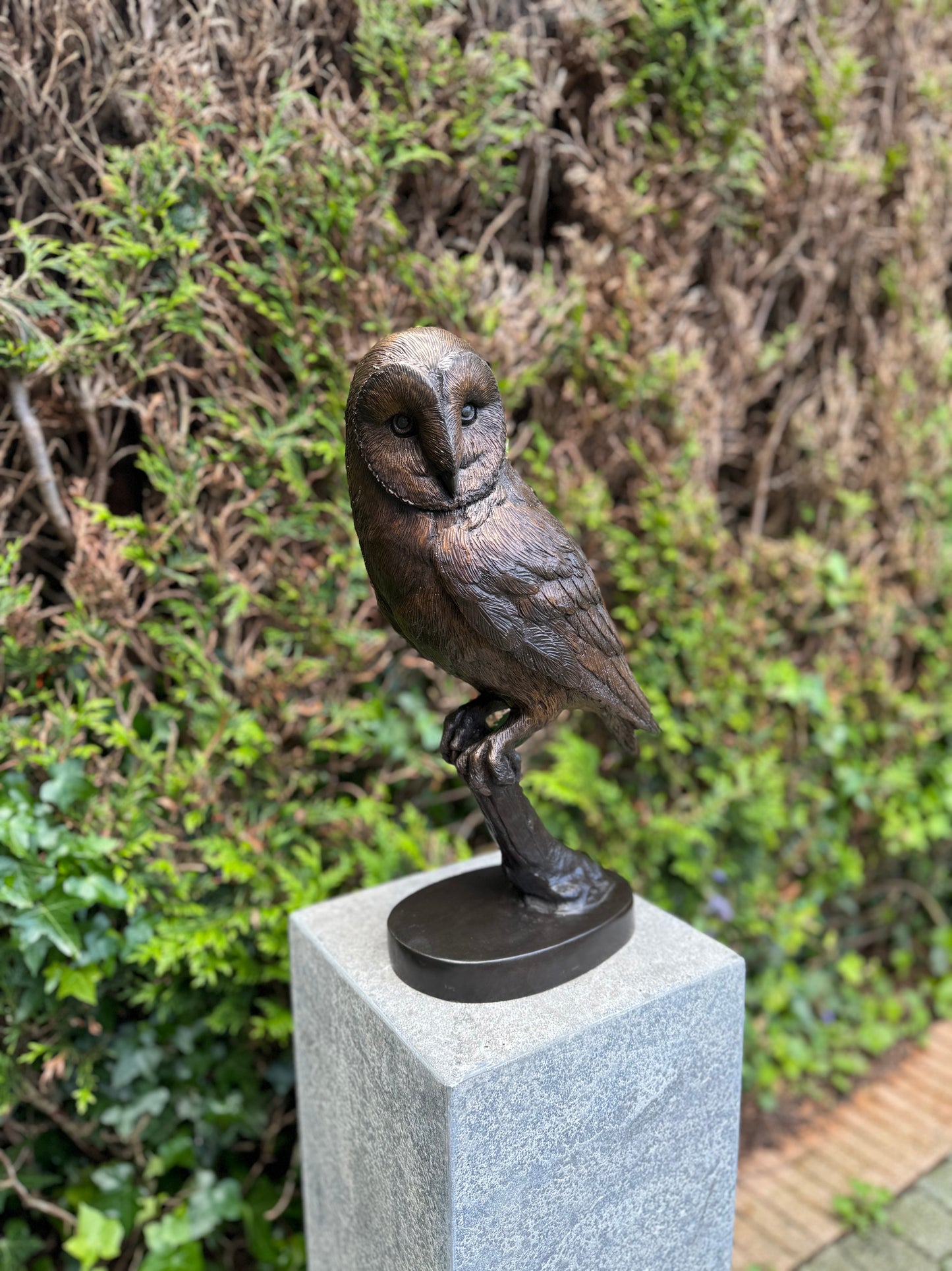 Silent Watcher – Bronze Sculpture. 16x13x43cm - 5.5Kg