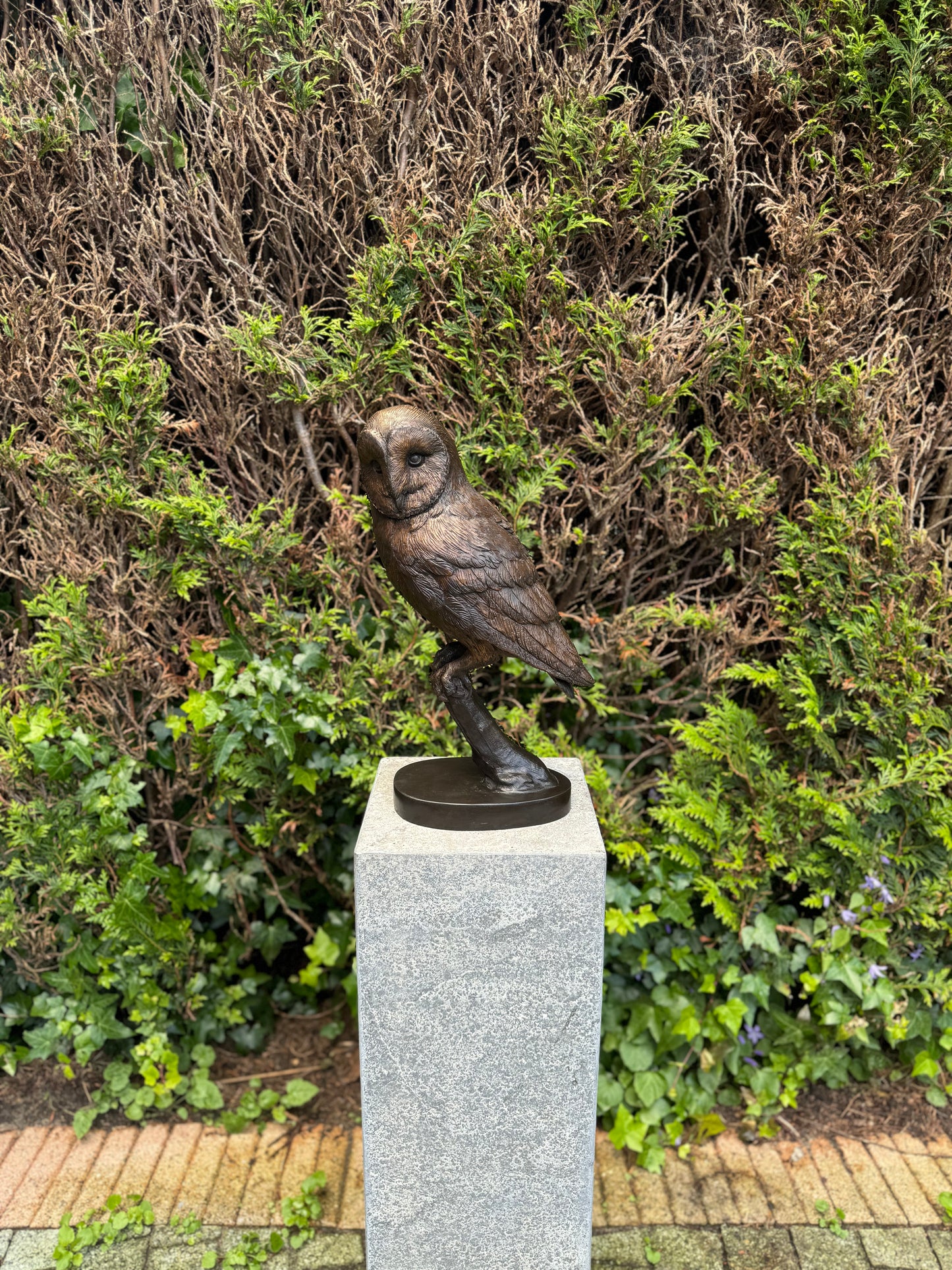 Silent Watcher – Bronze Sculpture. 16x13x43cm - 5.5Kg