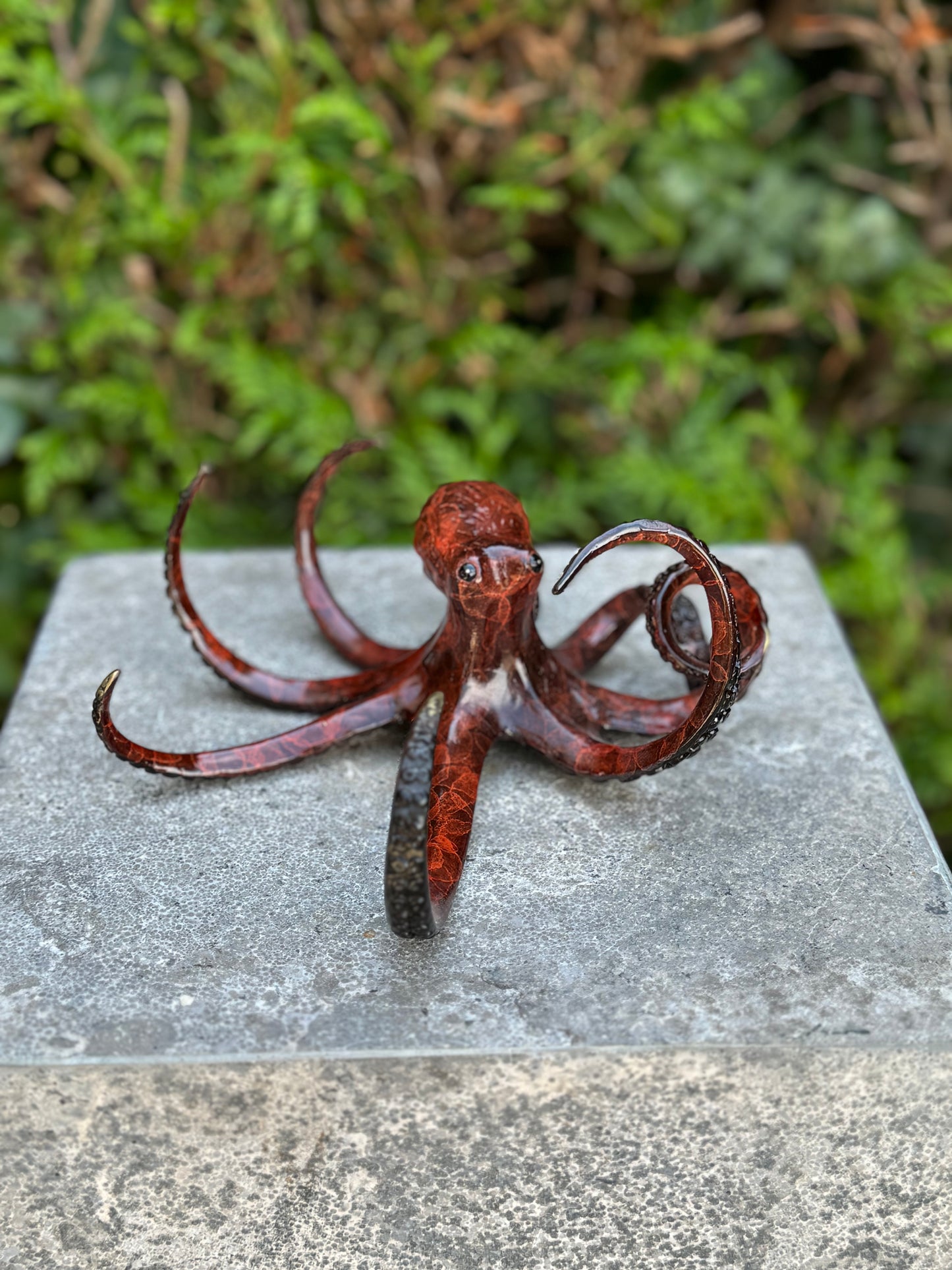 Ocean Dancer Octopus – Bronze Sculpture. 17x18x9cm - 2Kg