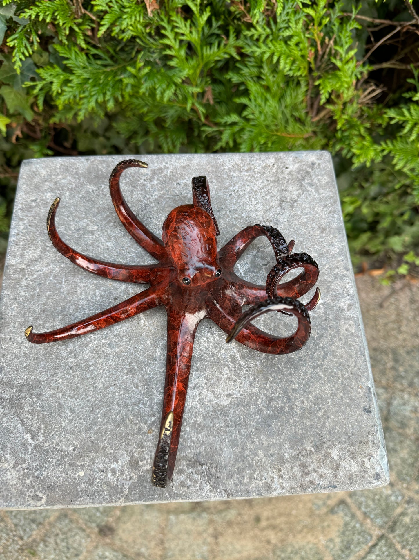 Ocean Dancer Octopus – Bronze Sculpture. 17x18x9cm - 2Kg