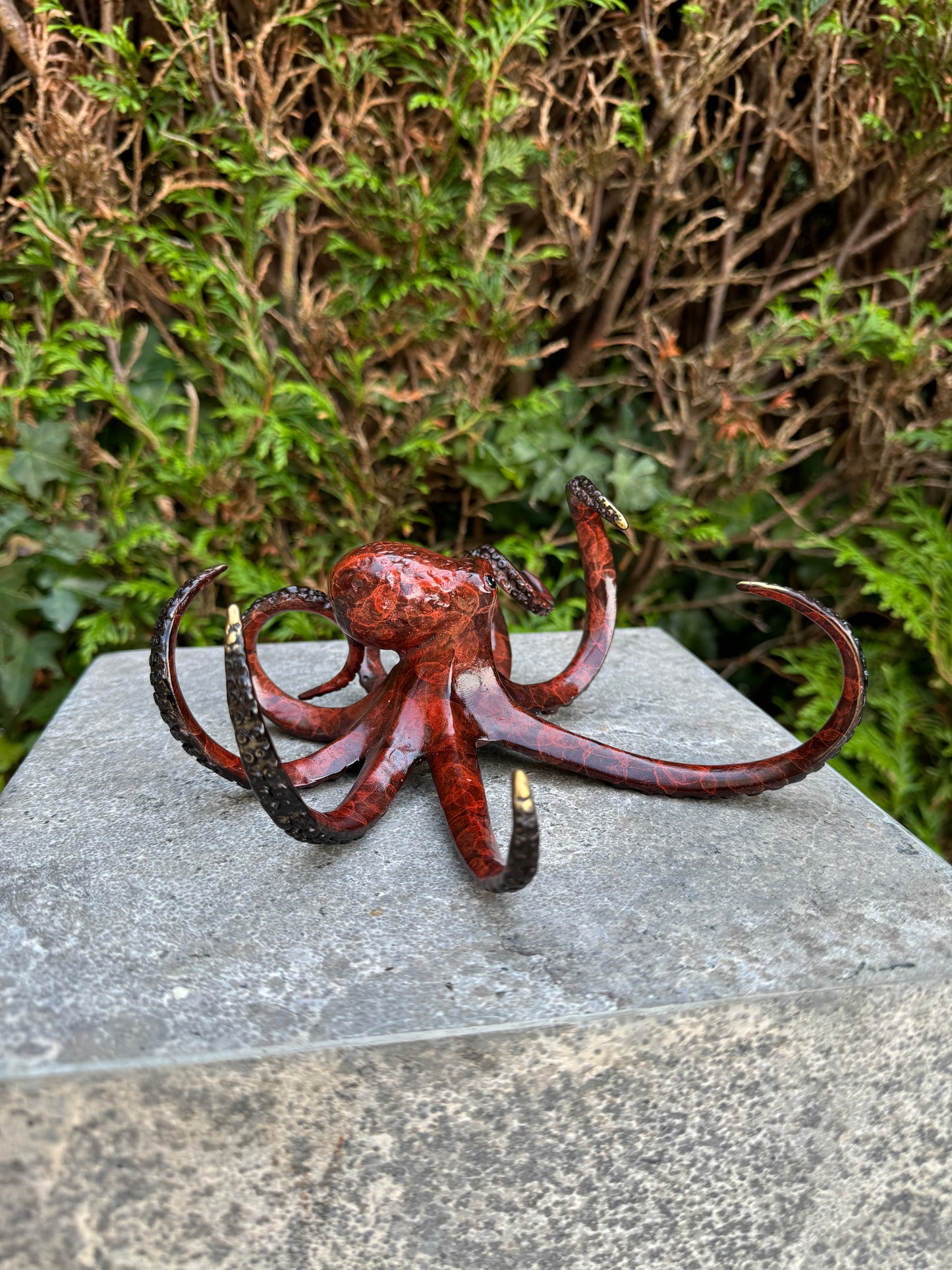 Ocean Dancer Octopus – Bronze Sculpture. 17x18x9cm - 2Kg