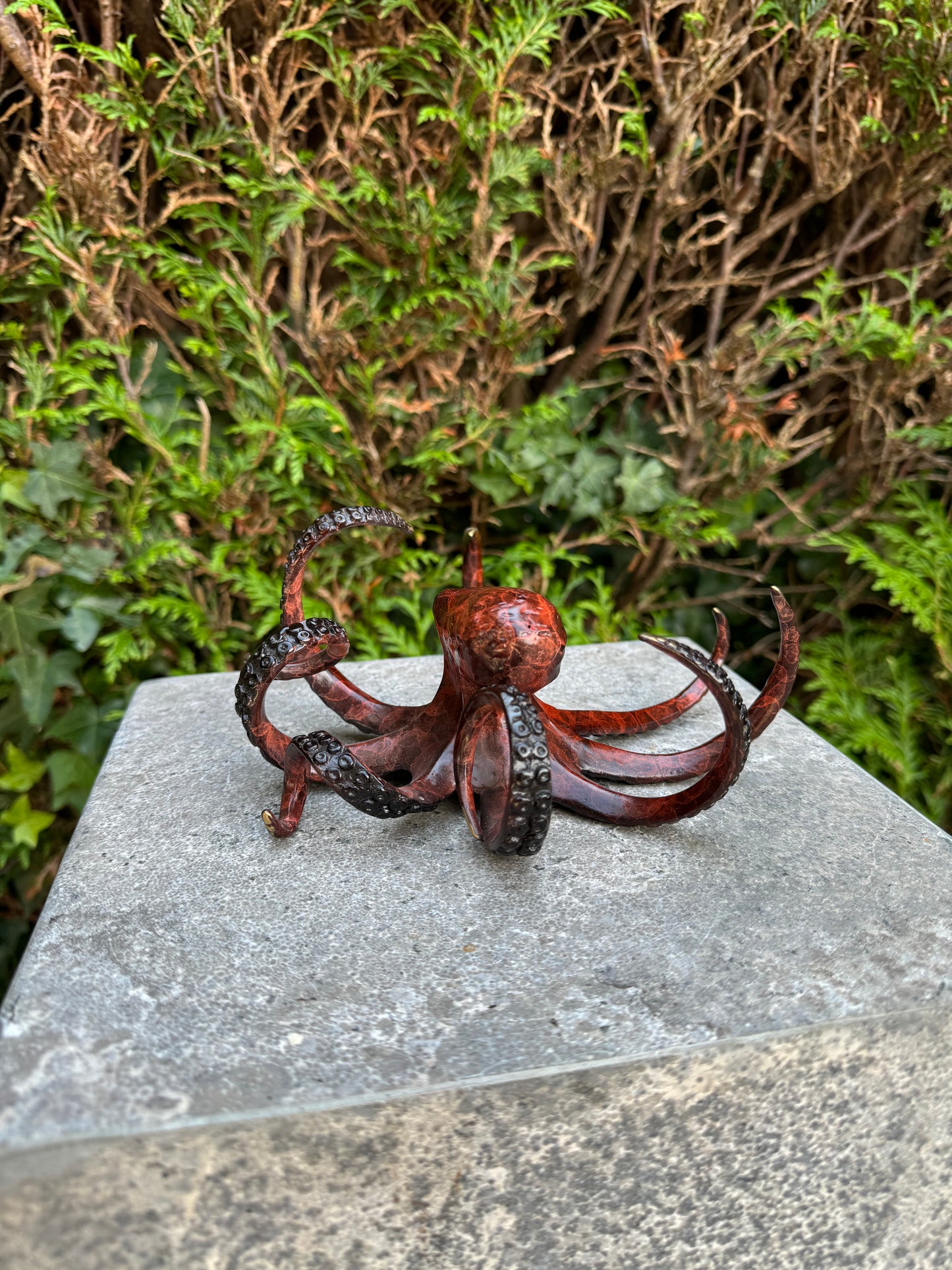 Ocean Dancer Octopus – Bronze Sculpture. 17x18x9cm - 2Kg