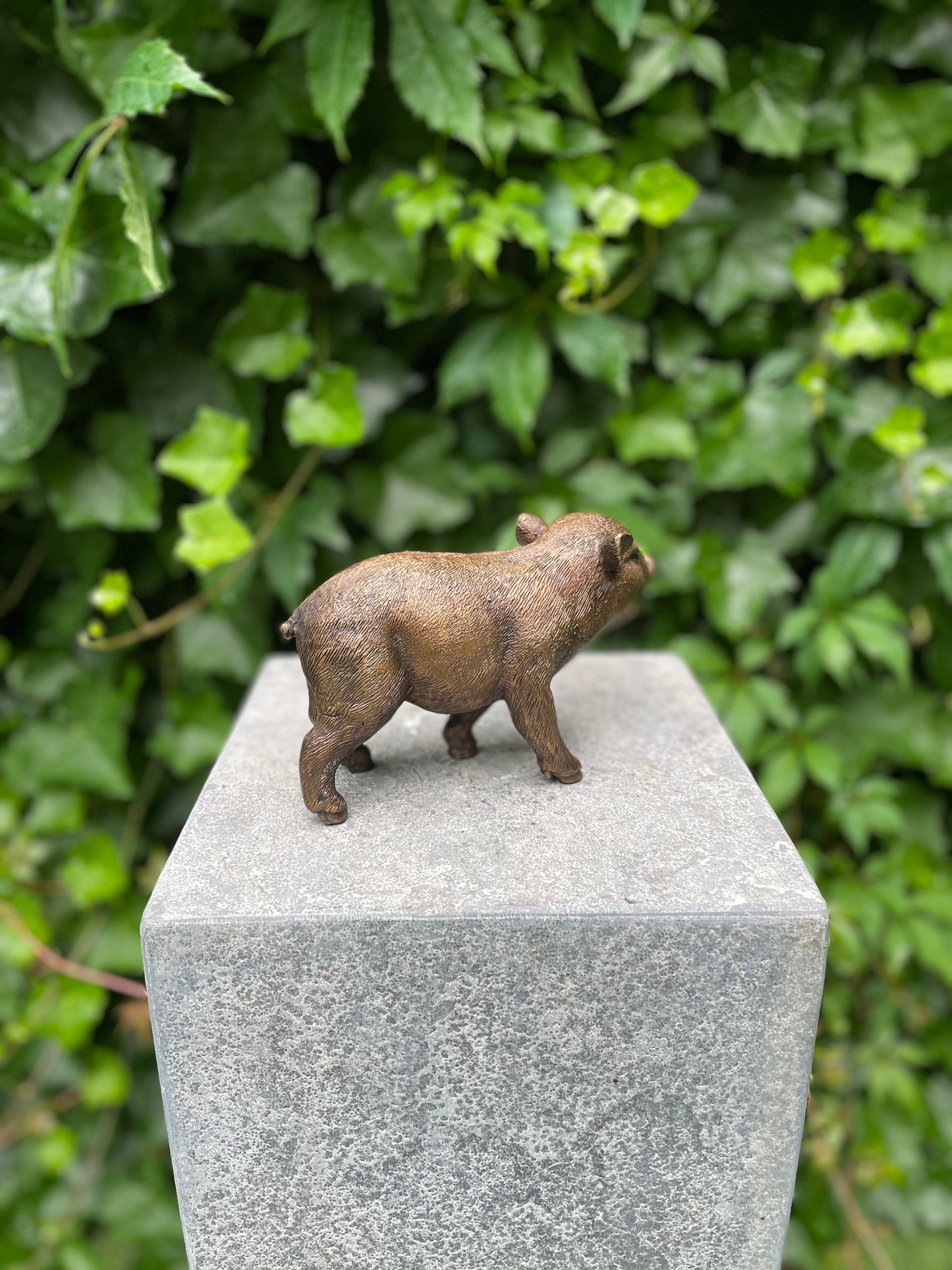 Young Boar – Bronze Sculpture. 18x16x12cm - 1Kg