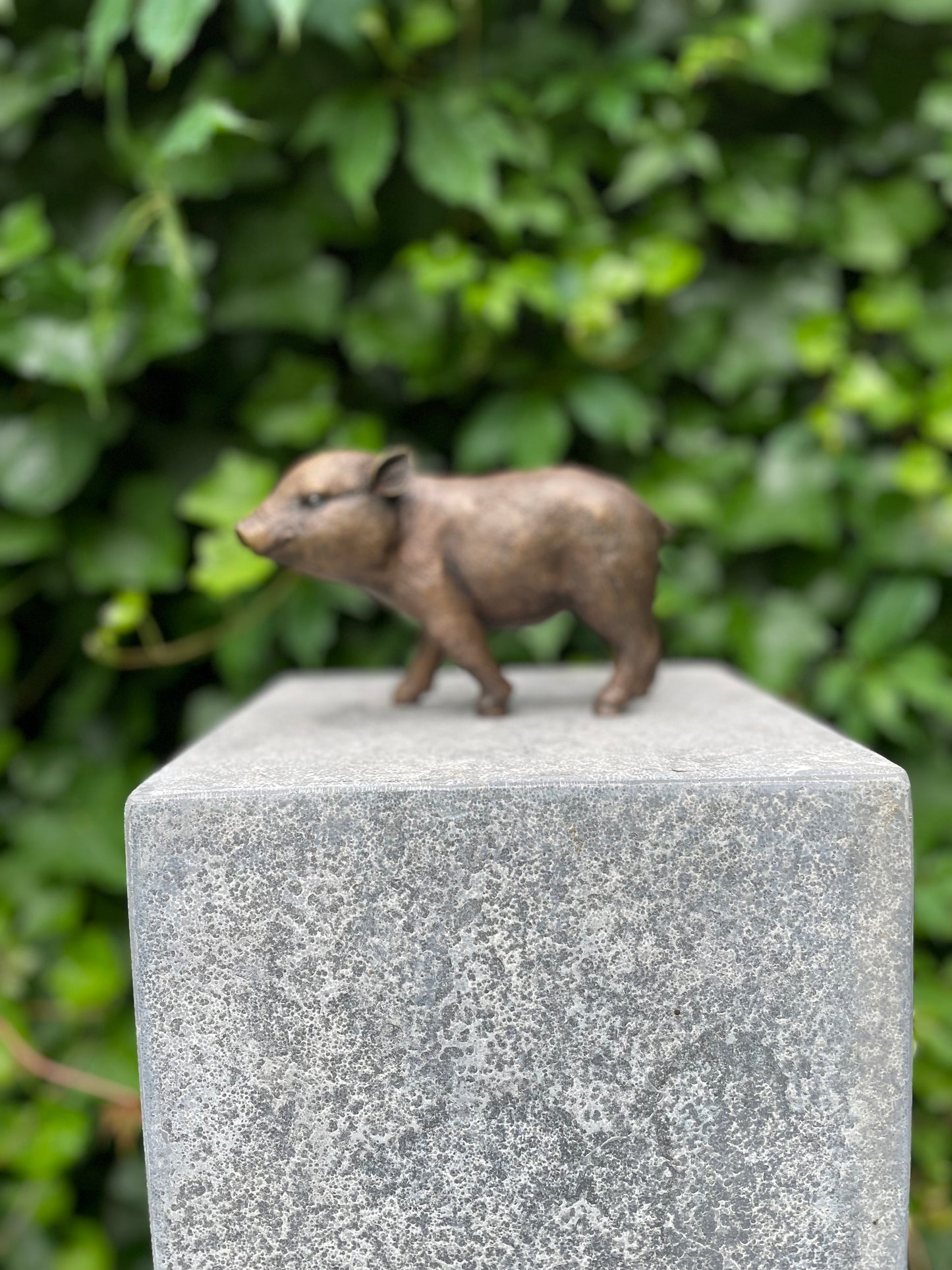 Young Boar – Bronze Sculpture. 18x16x12cm - 1Kg
