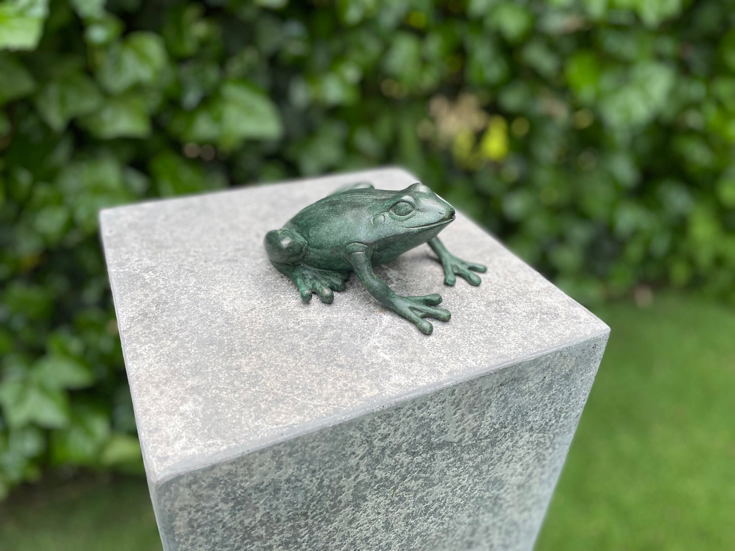 Crouching Frog – Bronze Sculpture. 14x13x6cm - 0.5Kg