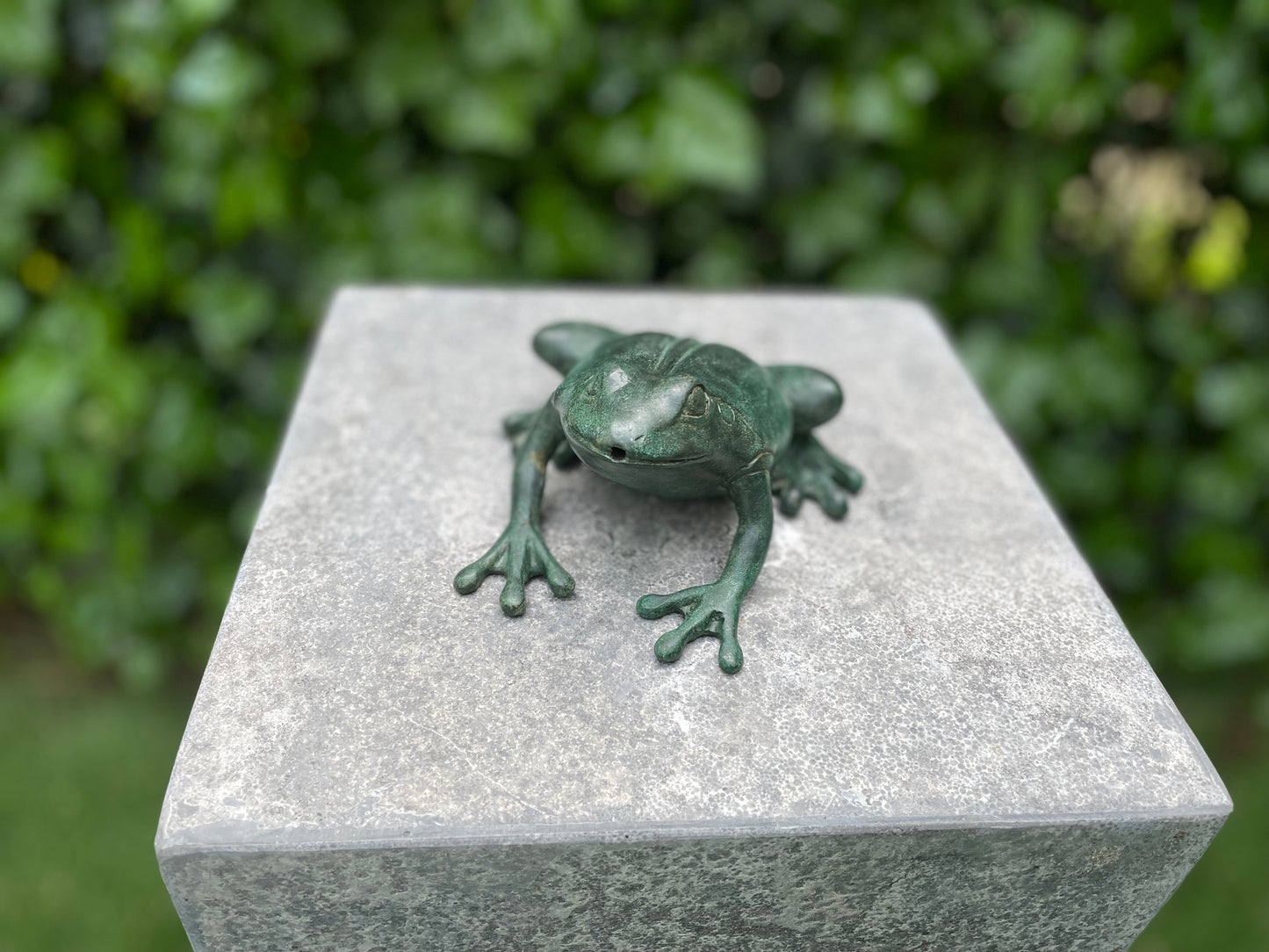 Crouching Frog – Bronze Sculpture. 14x13x6cm - 0.5Kg