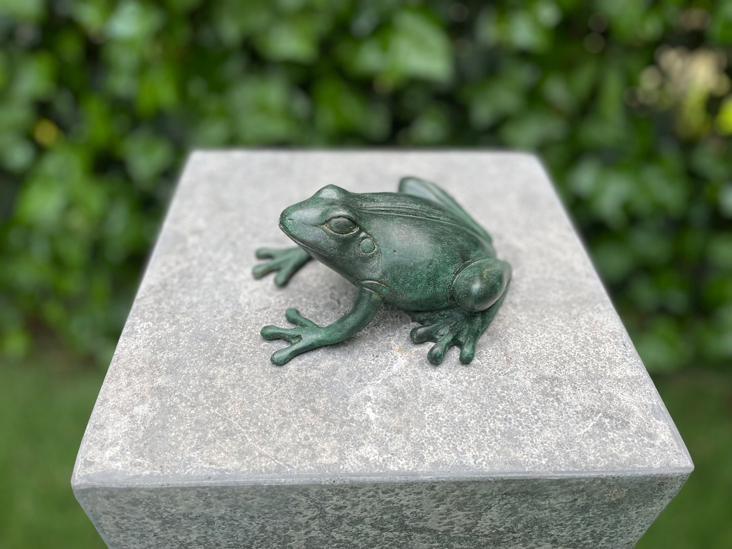 Crouching Frog – Bronze Sculpture. 14x13x6cm - 0.5Kg