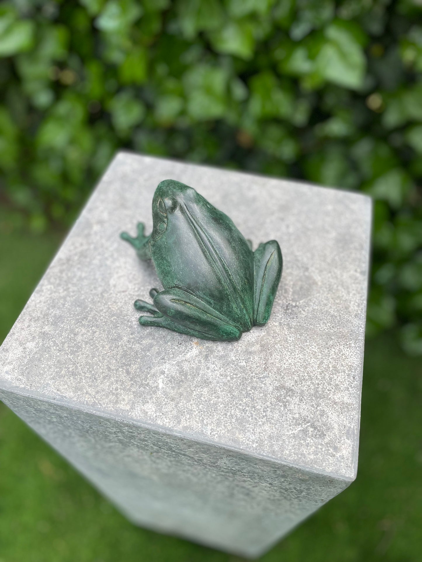 Crouching Frog – Bronze Sculpture. 14x13x6cm - 0.5Kg