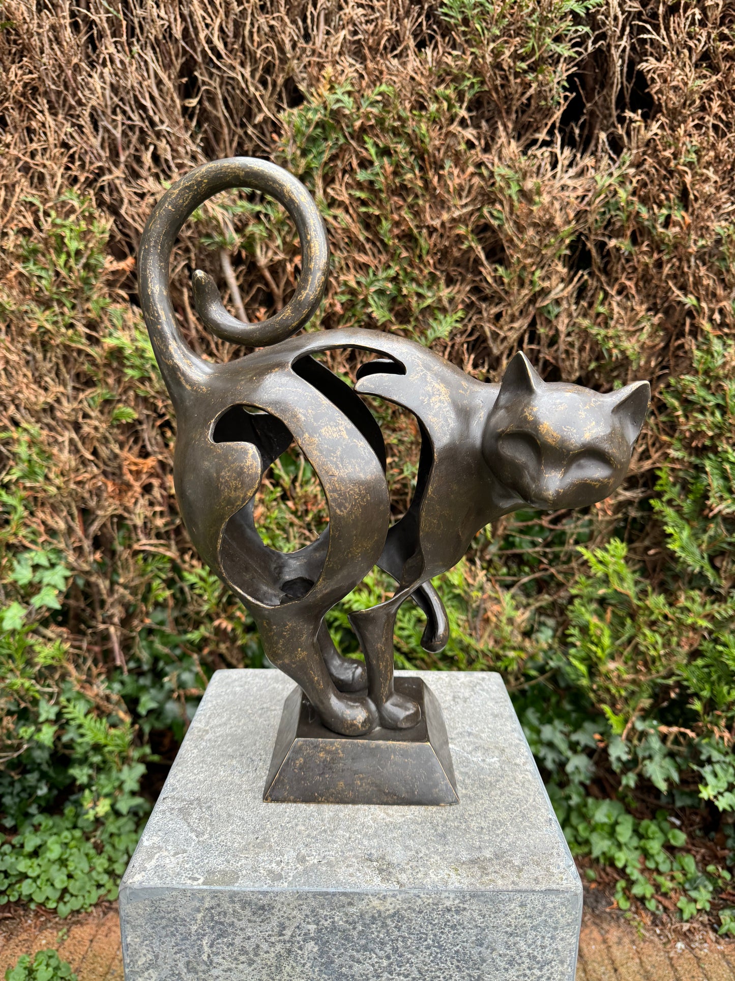 Curious Cat – Bronze Sculpture. 30x13x39cm - 4.5Kg