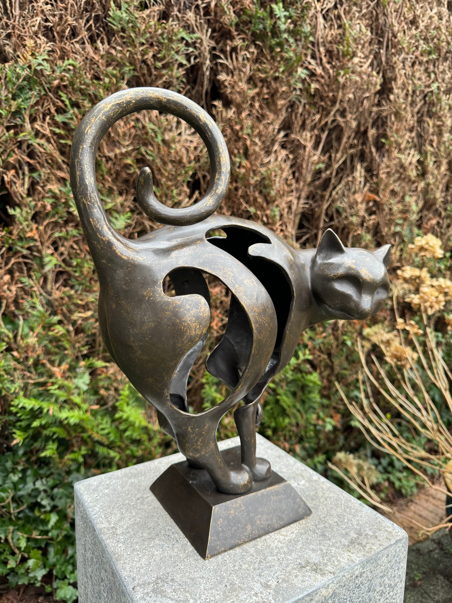 Curious Cat – Bronze Sculpture. 30x13x39cm - 4.5Kg