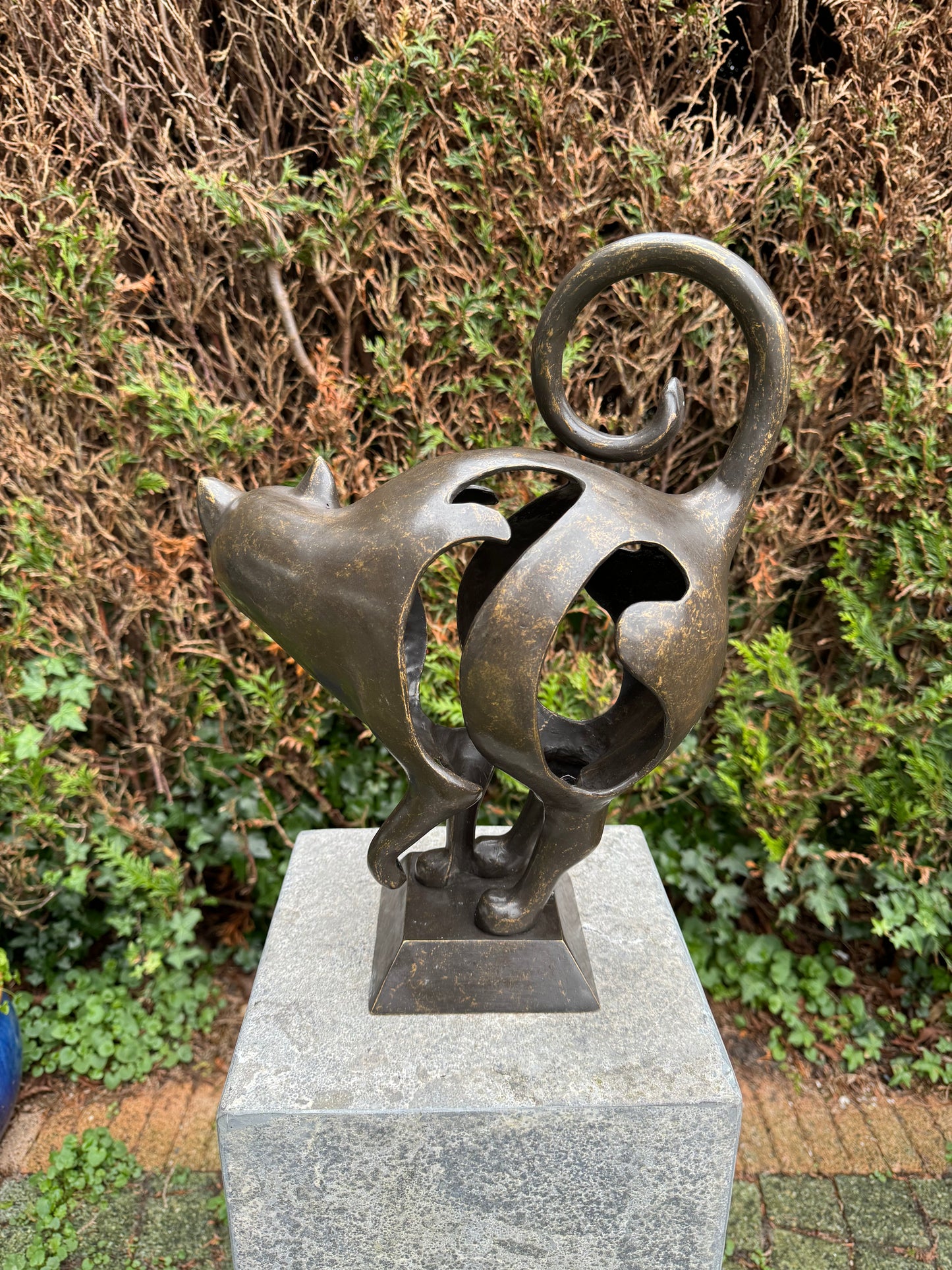 Curious Cat – Bronze Sculpture. 30x13x39cm - 4.5Kg