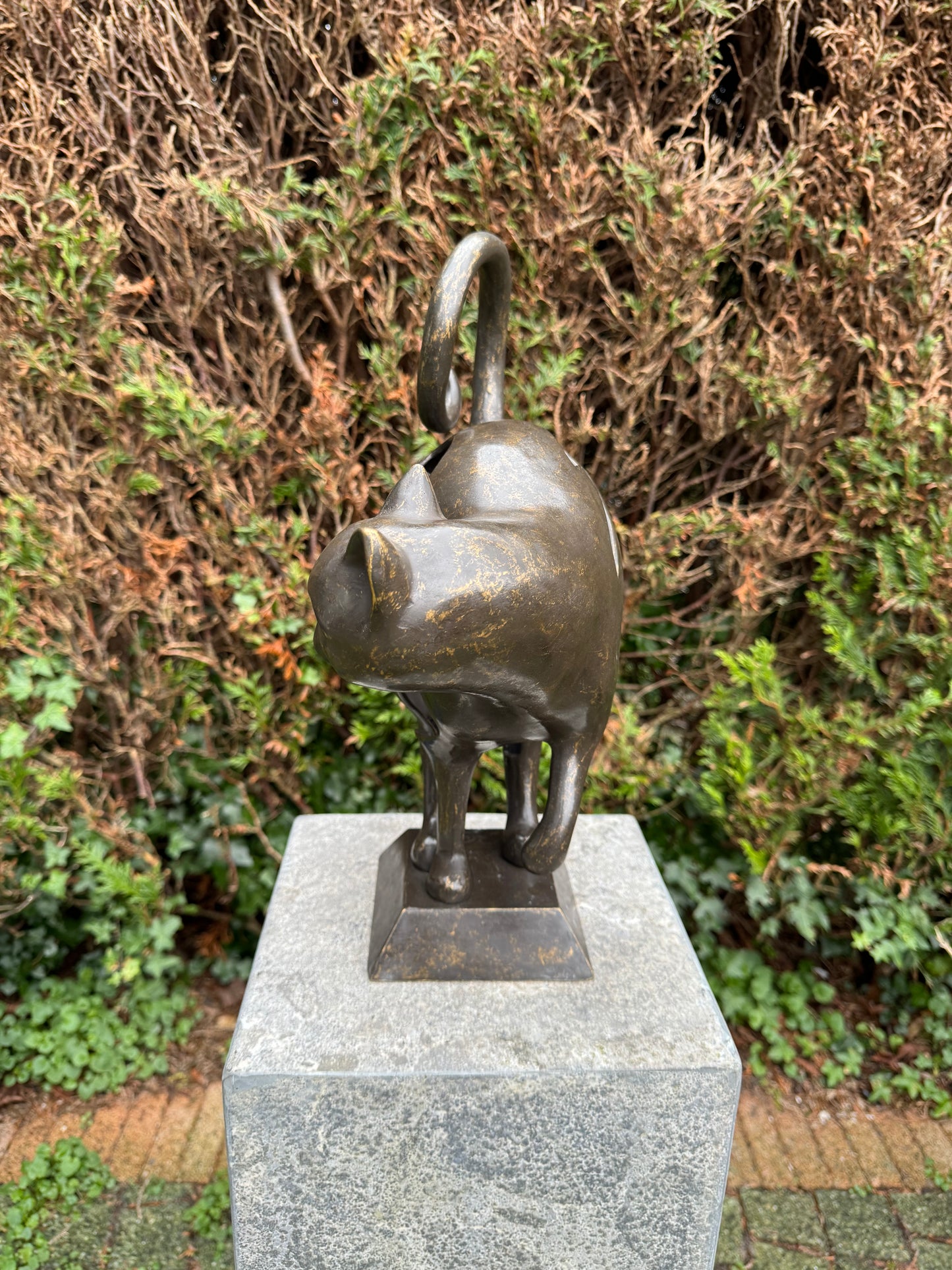 Curious Cat – Bronze Sculpture. 30x13x39cm - 4.5Kg