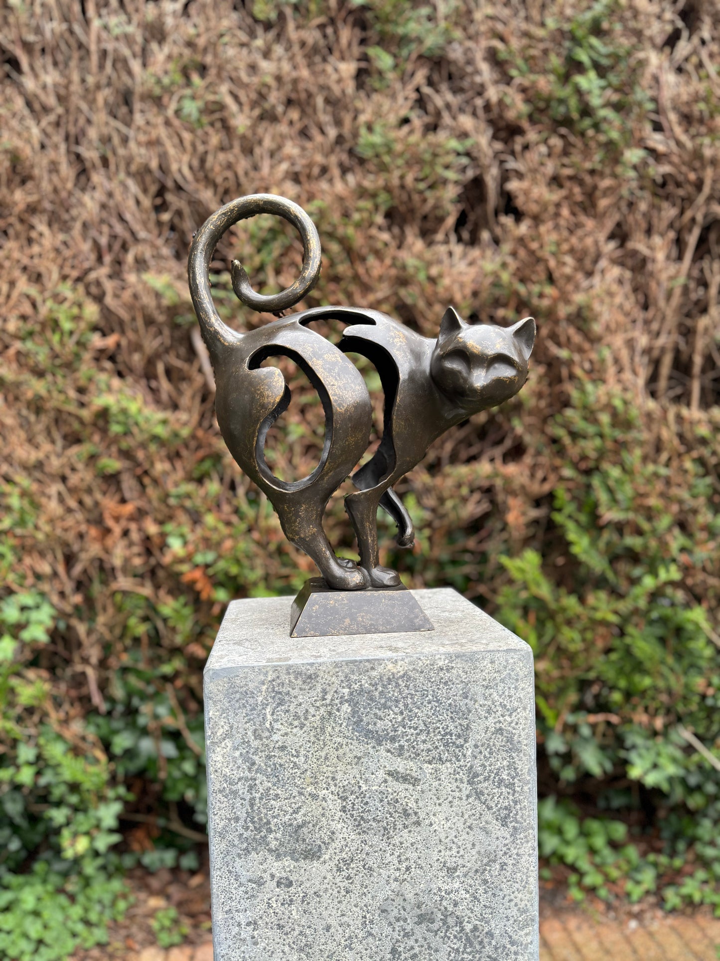 Curious Cat – Bronze Sculpture. 30x13x39cm - 4.5Kg