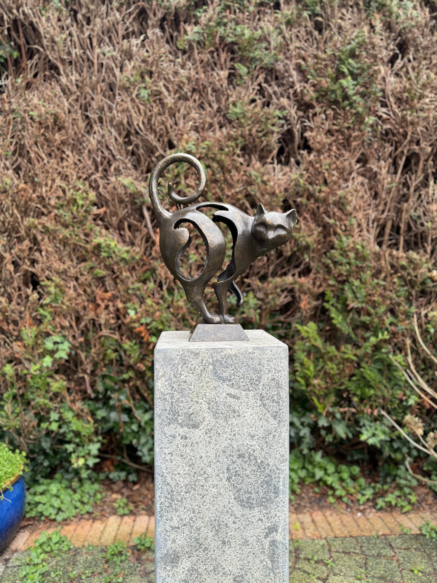 Curious Cat – Bronze Sculpture. 30x13x39cm - 4.5Kg