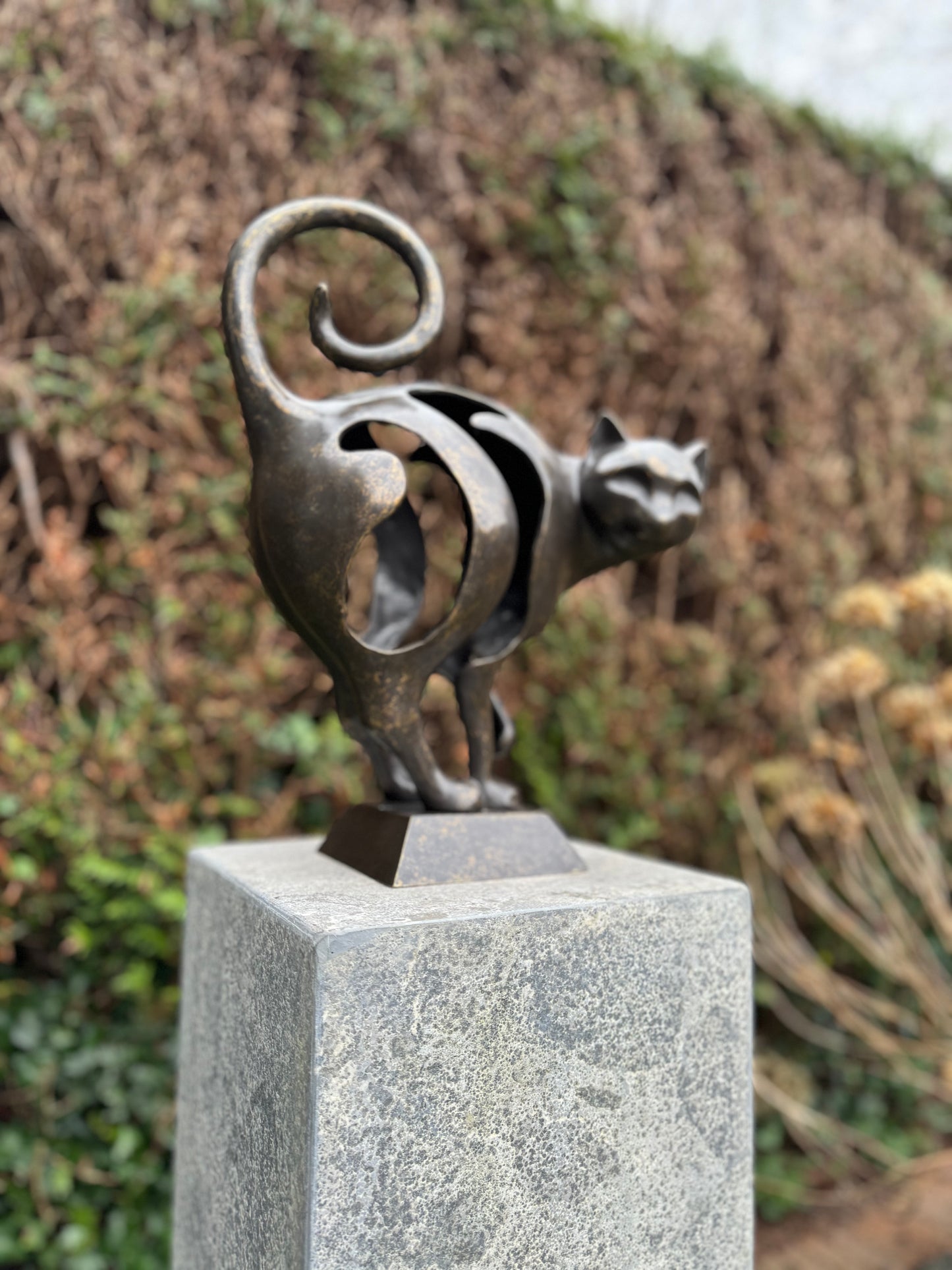 Curious Cat – Bronze Sculpture. 30x13x39cm - 4.5Kg