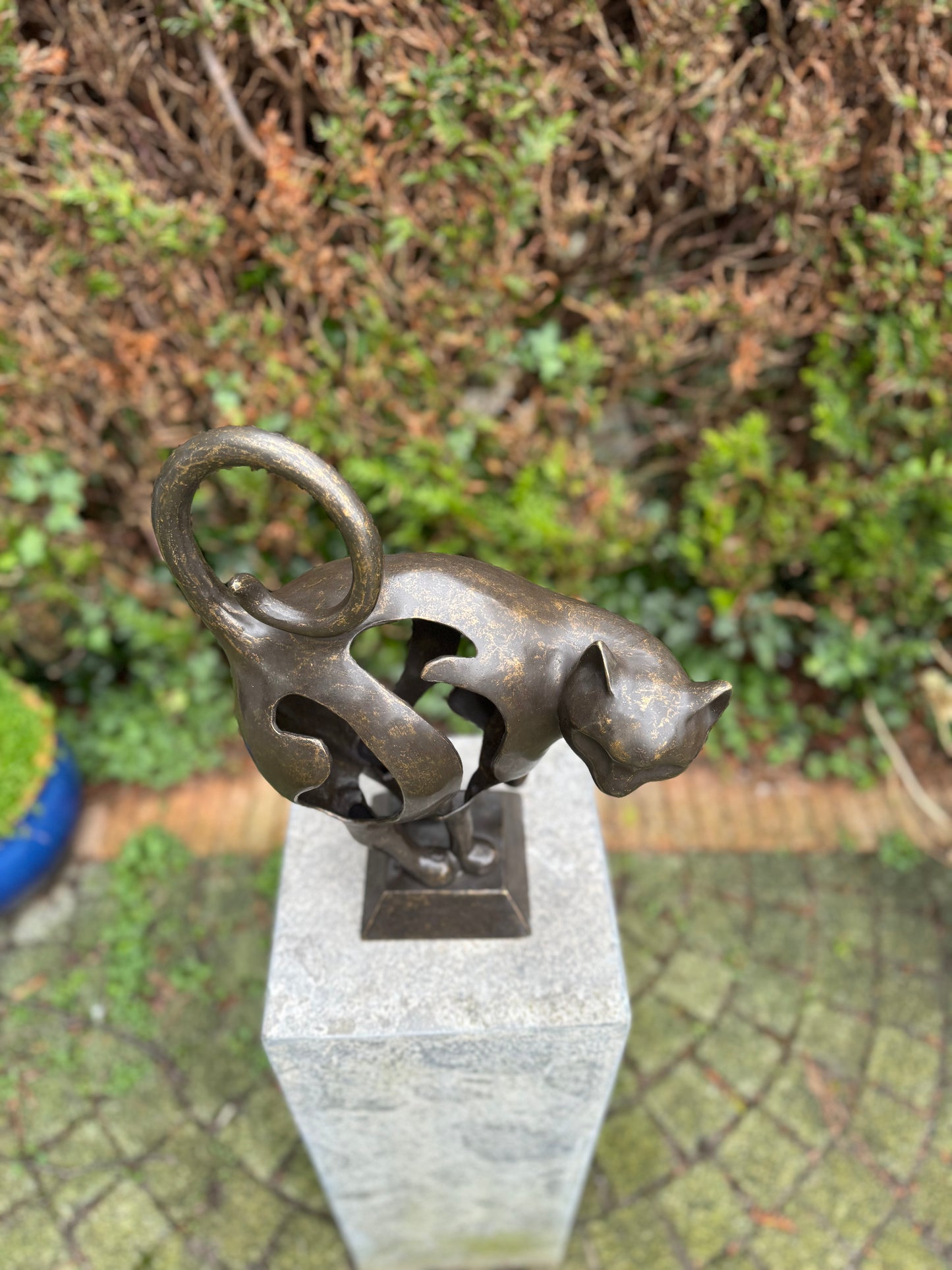 Curious Cat – Bronze Sculpture. 30x13x39cm - 4.5Kg