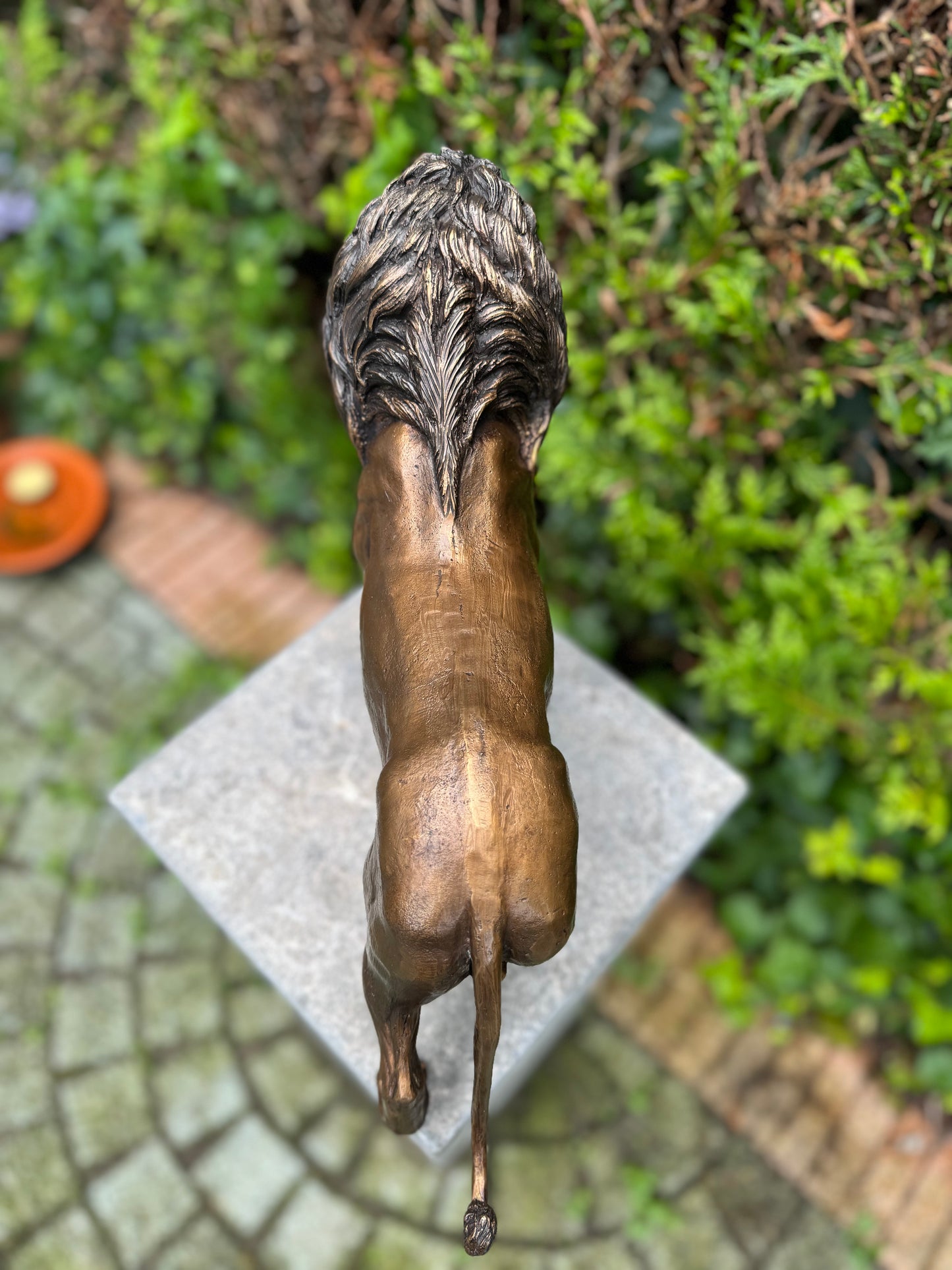Majestic Lion – Bronze Sculpture. 42x12x26cm - 3.4Kg