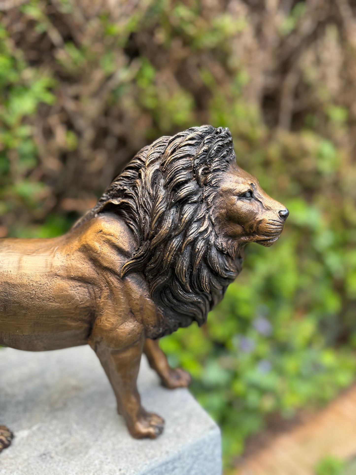 Majestic Lion – Bronze Sculpture. 42x12x26cm - 3.4Kg