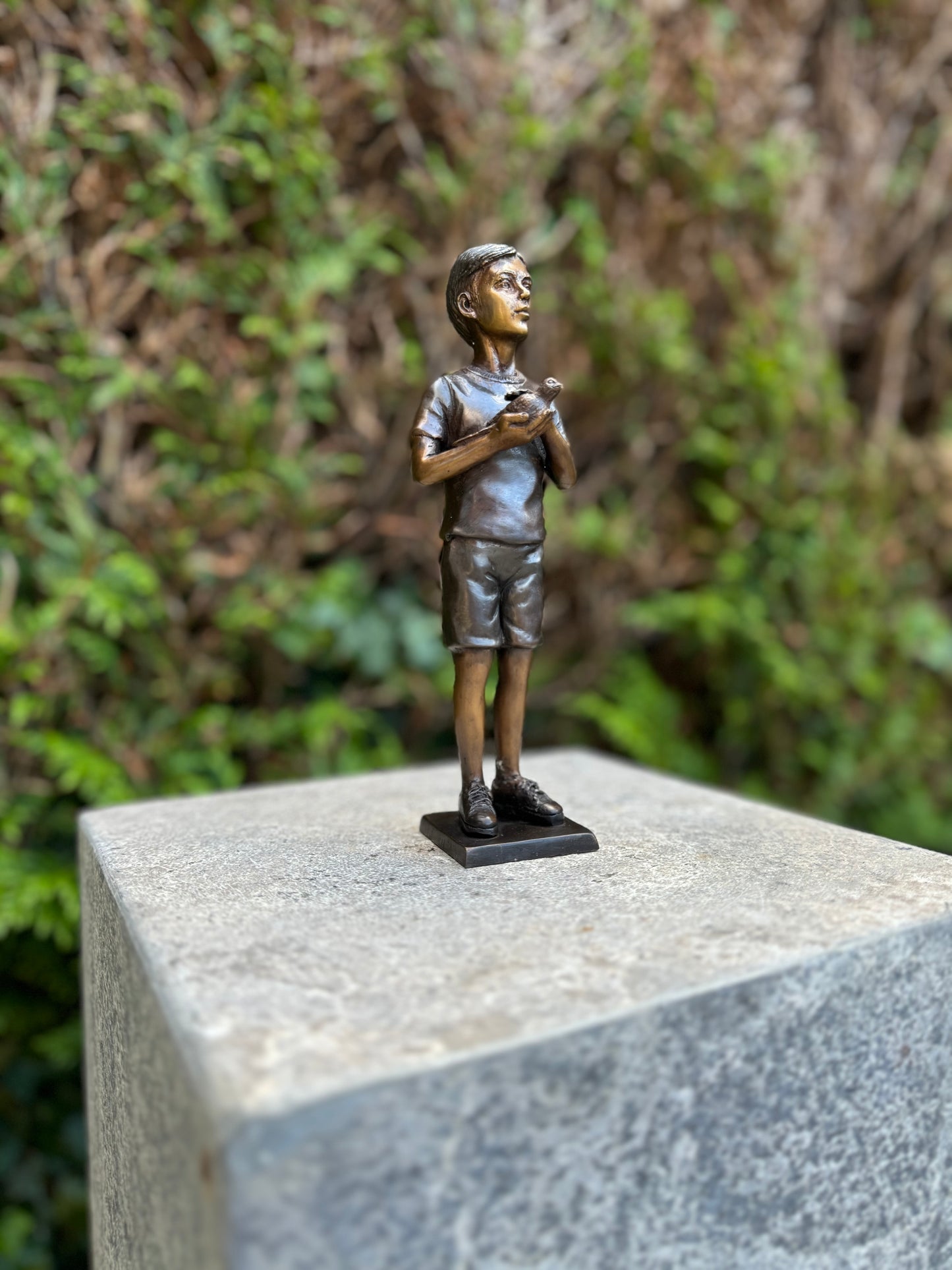 Young Curiosity – Bronze Sculpture. 6x5x20cm - 2Kg