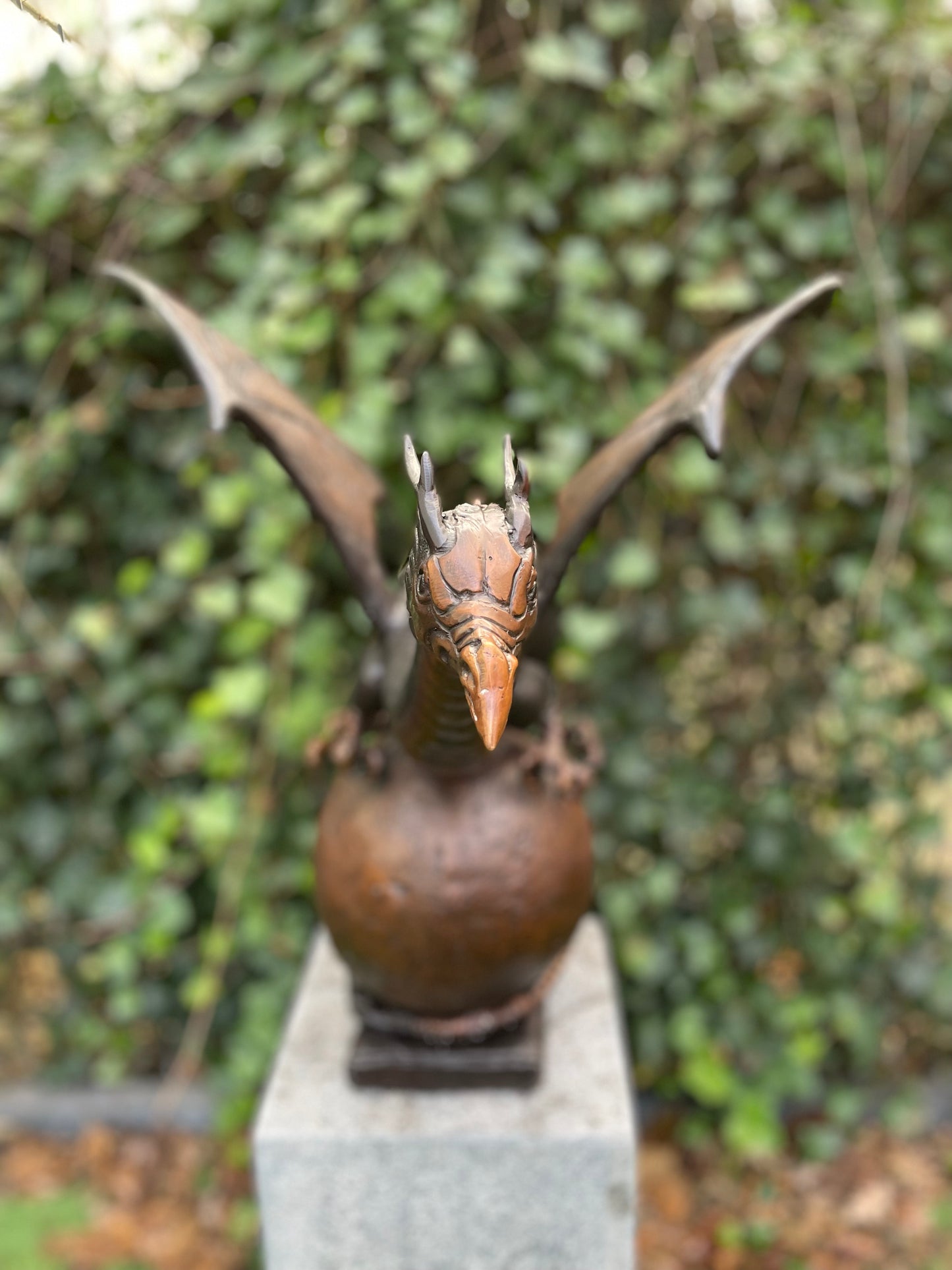 Majestic Dragon – Bronze Sculpture. 55x50x55cm - 8Kg
