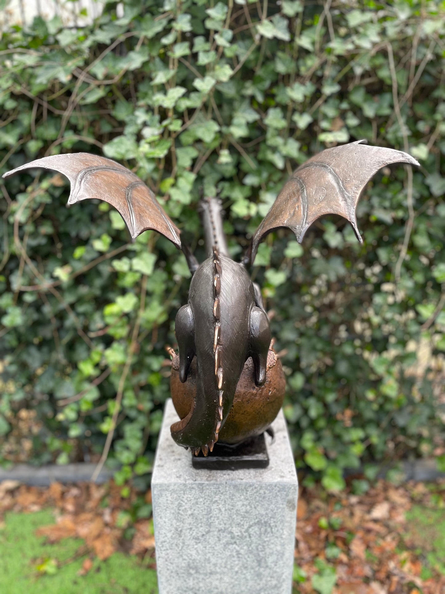 Majestic Dragon – Bronze Sculpture. 55x50x55cm - 8Kg