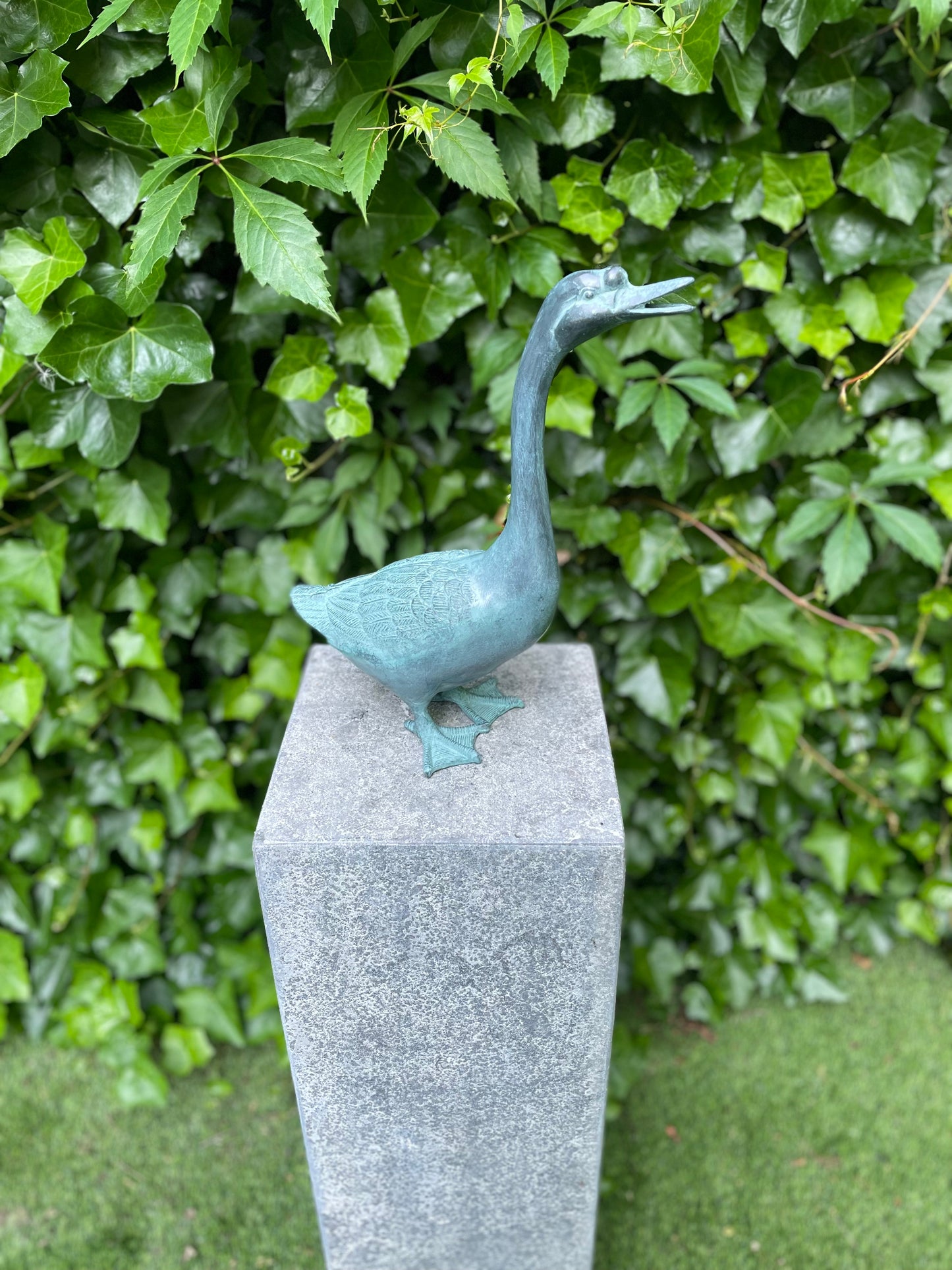 Calling Goose – Bronze Sculpture. 27x14x38cm - 1.9Kg