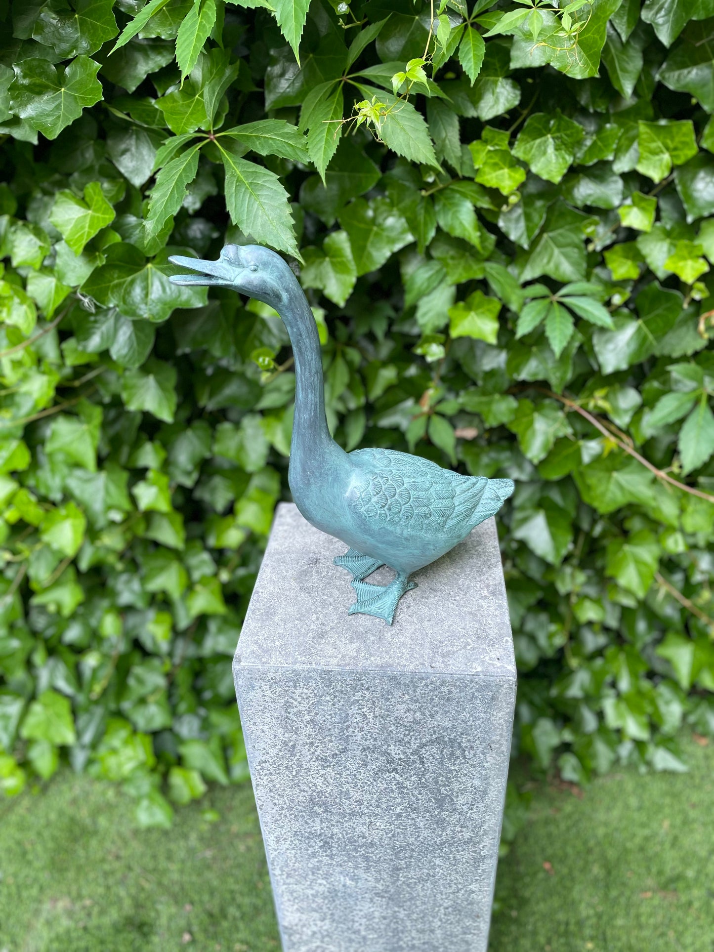 Calling Goose – Bronze Sculpture. 27x14x38cm - 1.9Kg