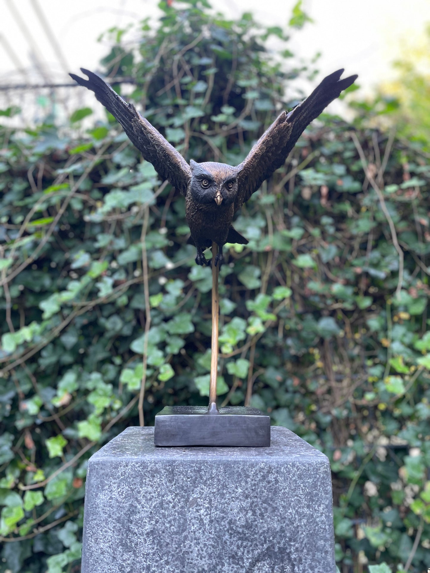 Soaring Owl – Bronze Sculpture. 45x27x53cm - 3.8Kg