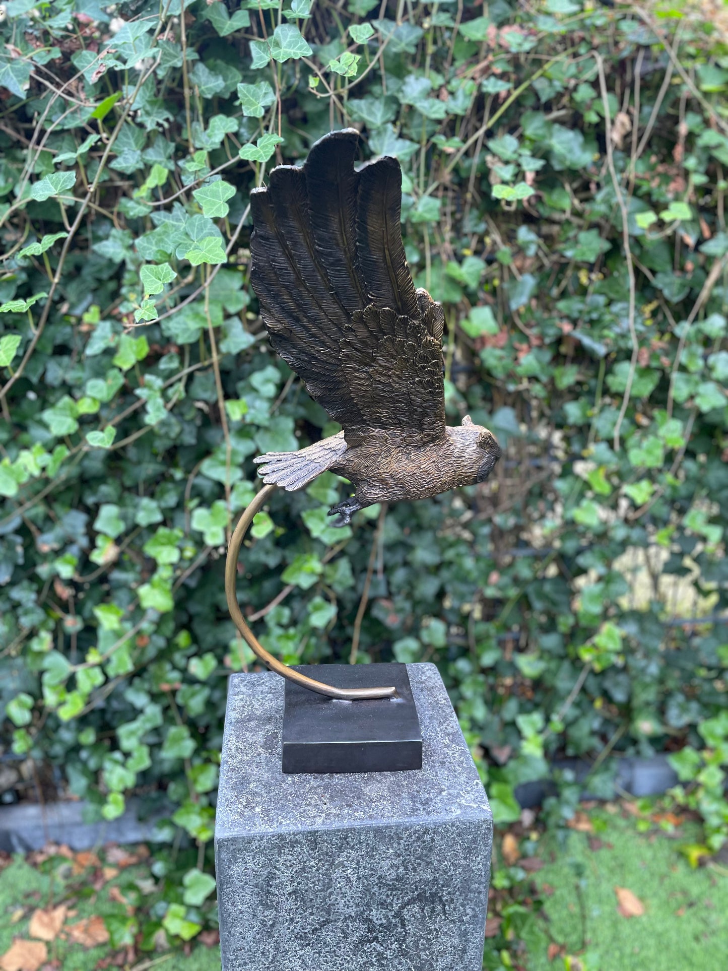 Soaring Owl – Bronze Sculpture. 45x27x53cm - 3.8Kg