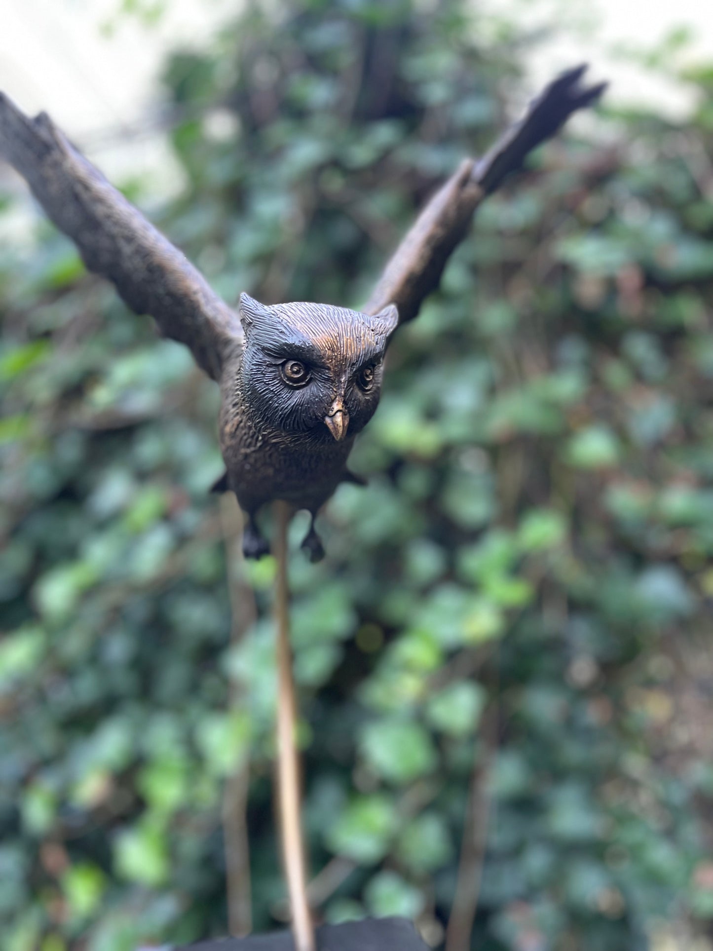 Soaring Owl – Bronze Sculpture. 45x27x53cm - 3.8Kg