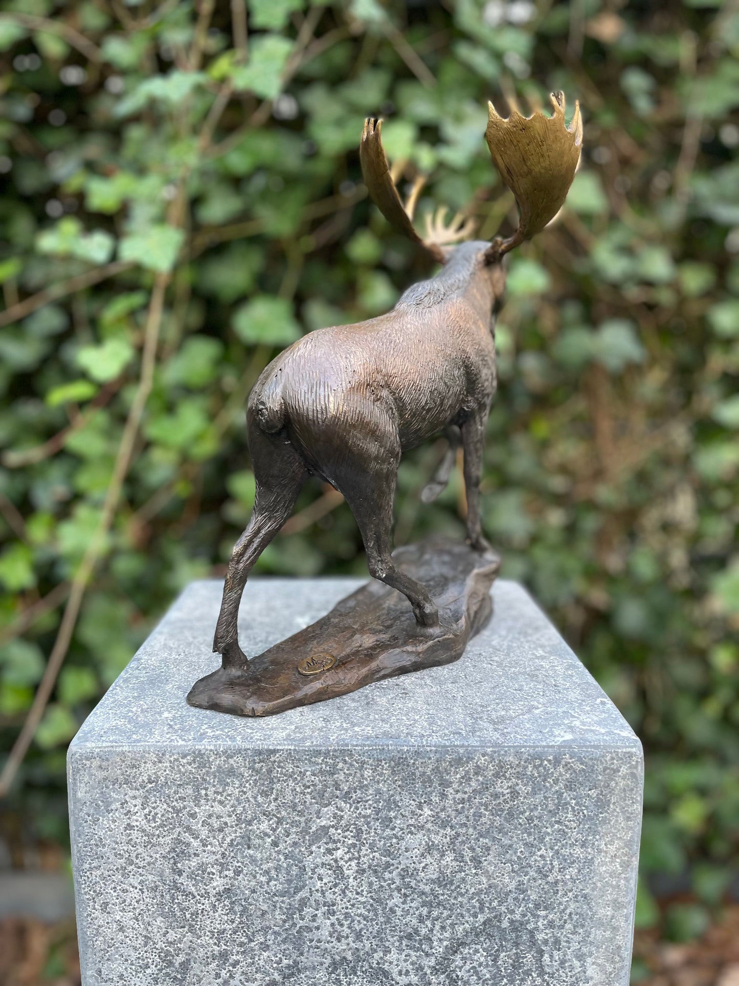 Noble Moose – Bronze Sculpture. 26x15x30cm - 1.5Kg