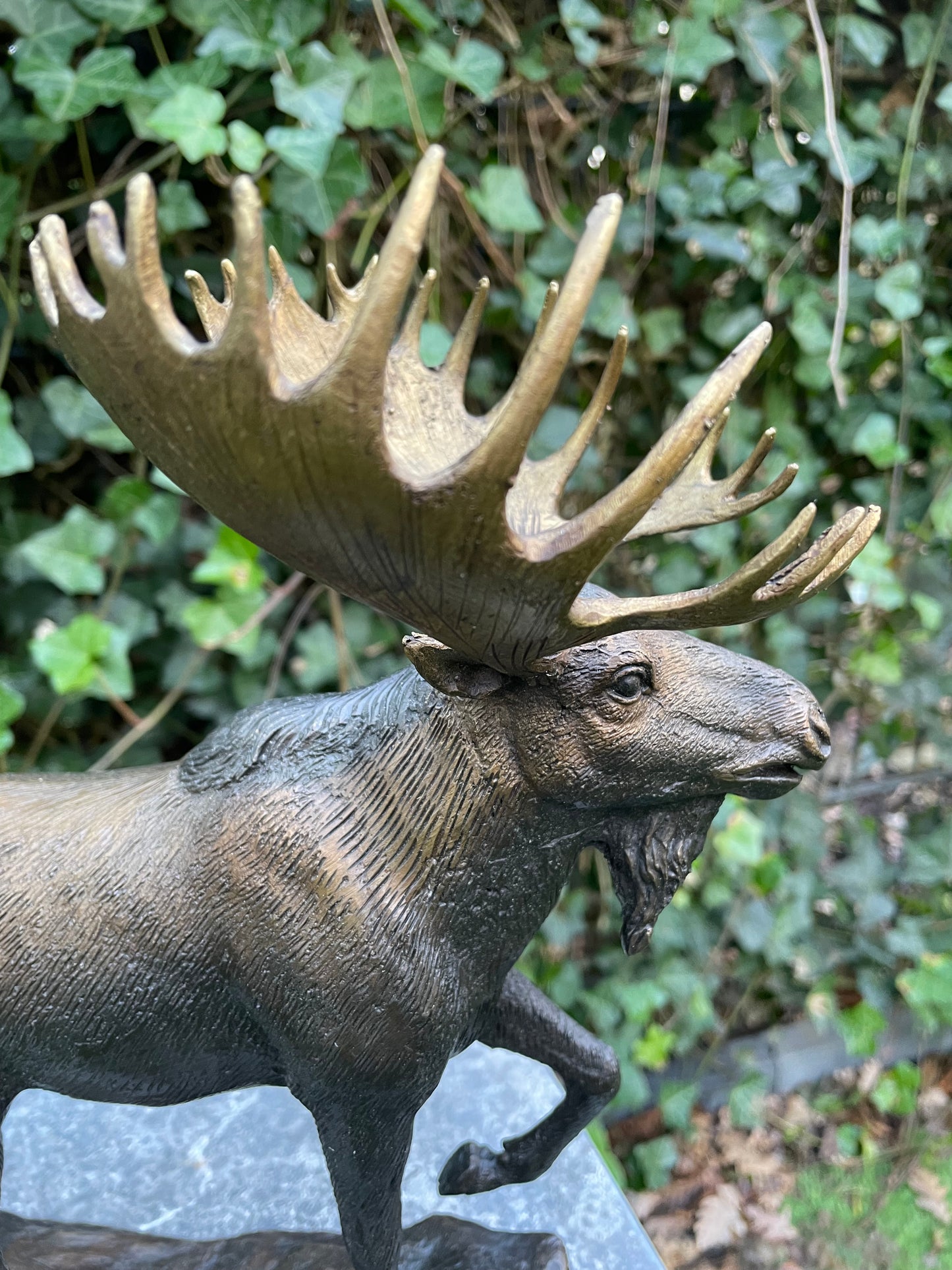 Noble Moose – Bronze Sculpture. 26x15x30cm - 1.5Kg