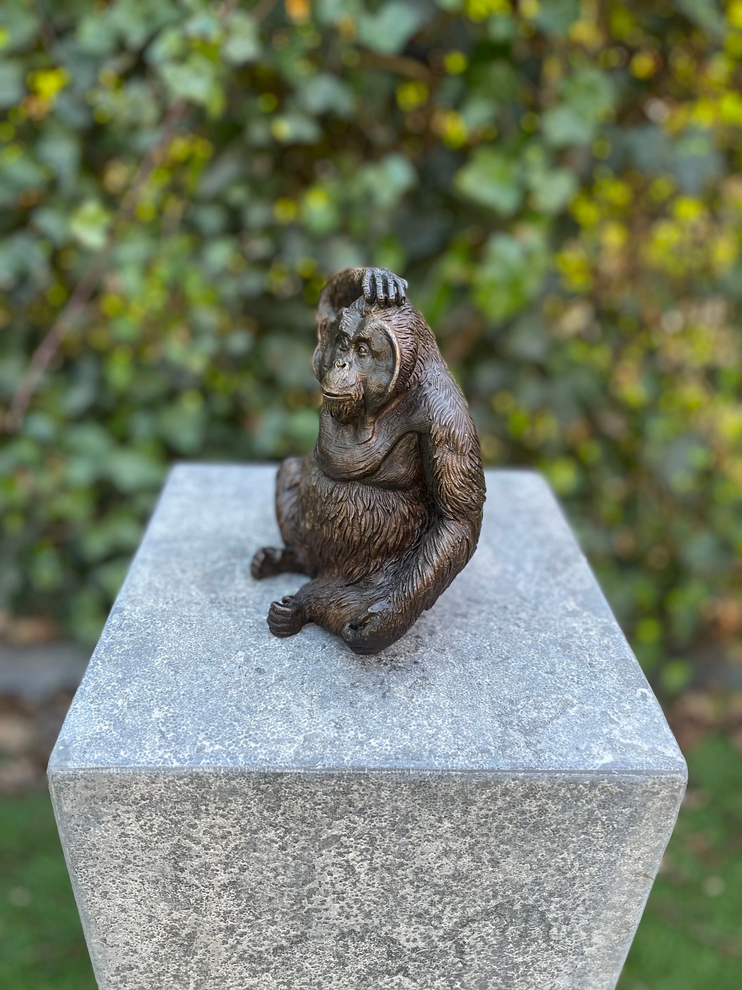 Curious Orangutan – Bronze Sculpture. 16x10x14cm - 1.1Kg